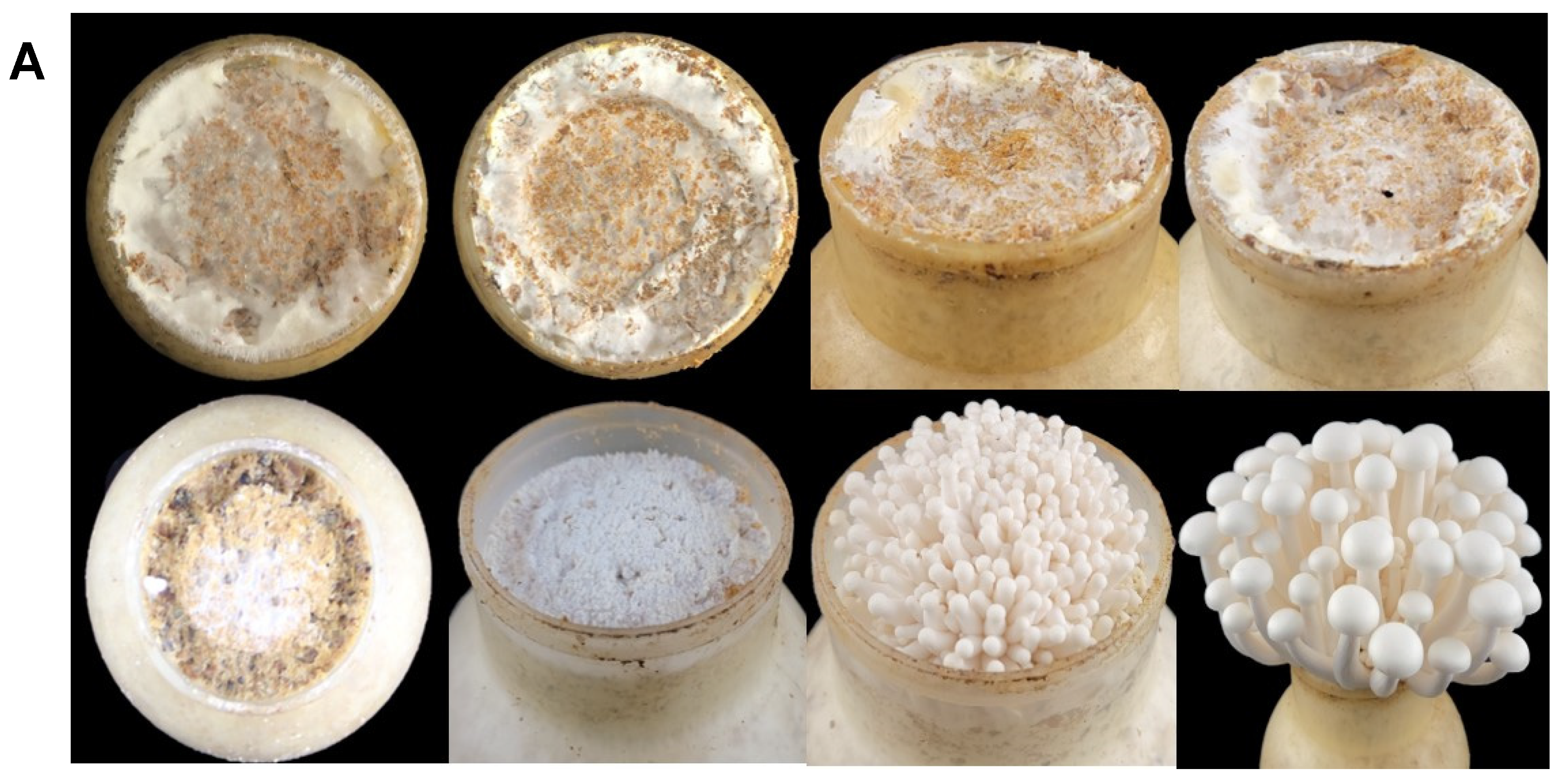 Molecules 28 04796 g003a