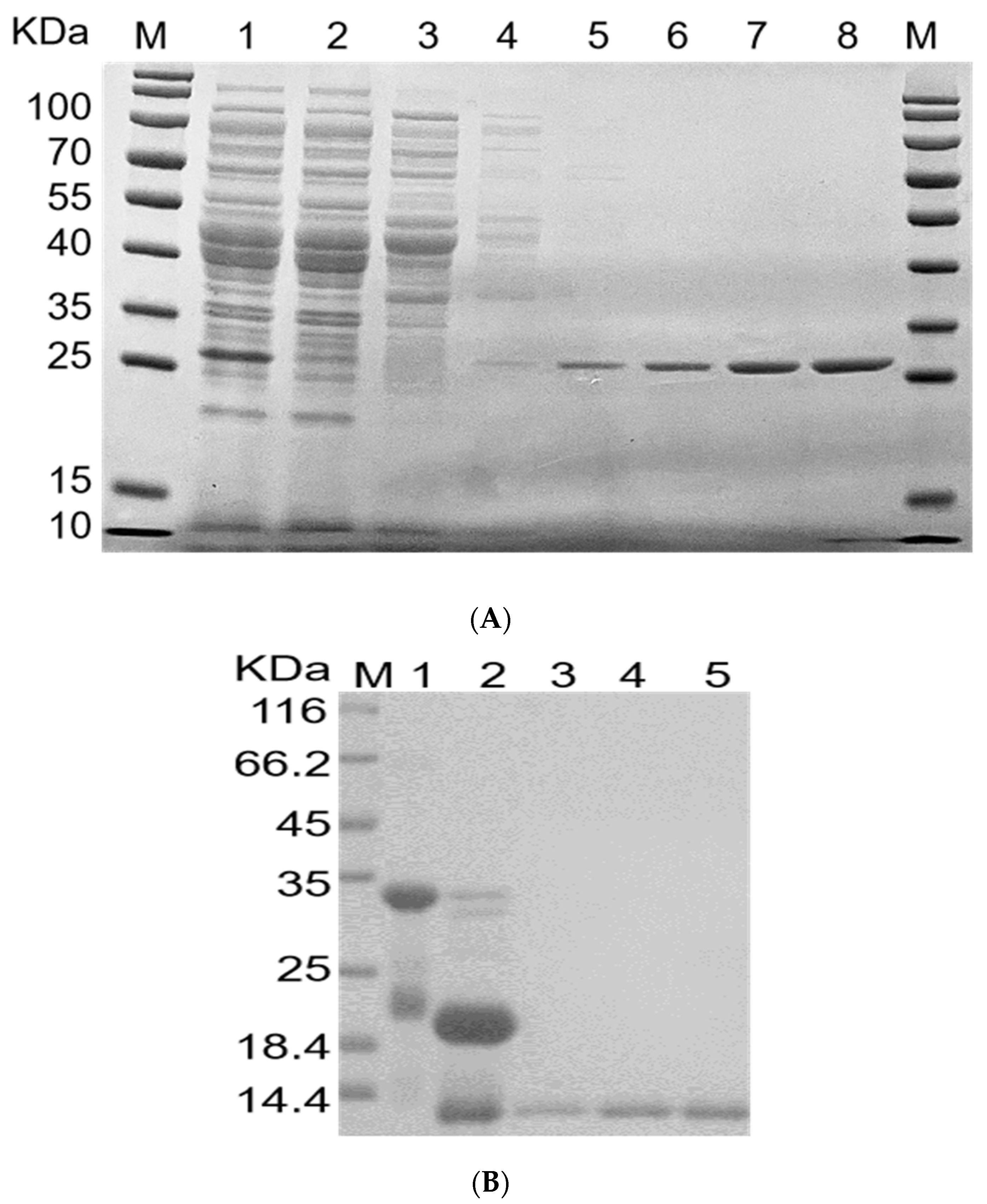 Molecules 28 04796 g005