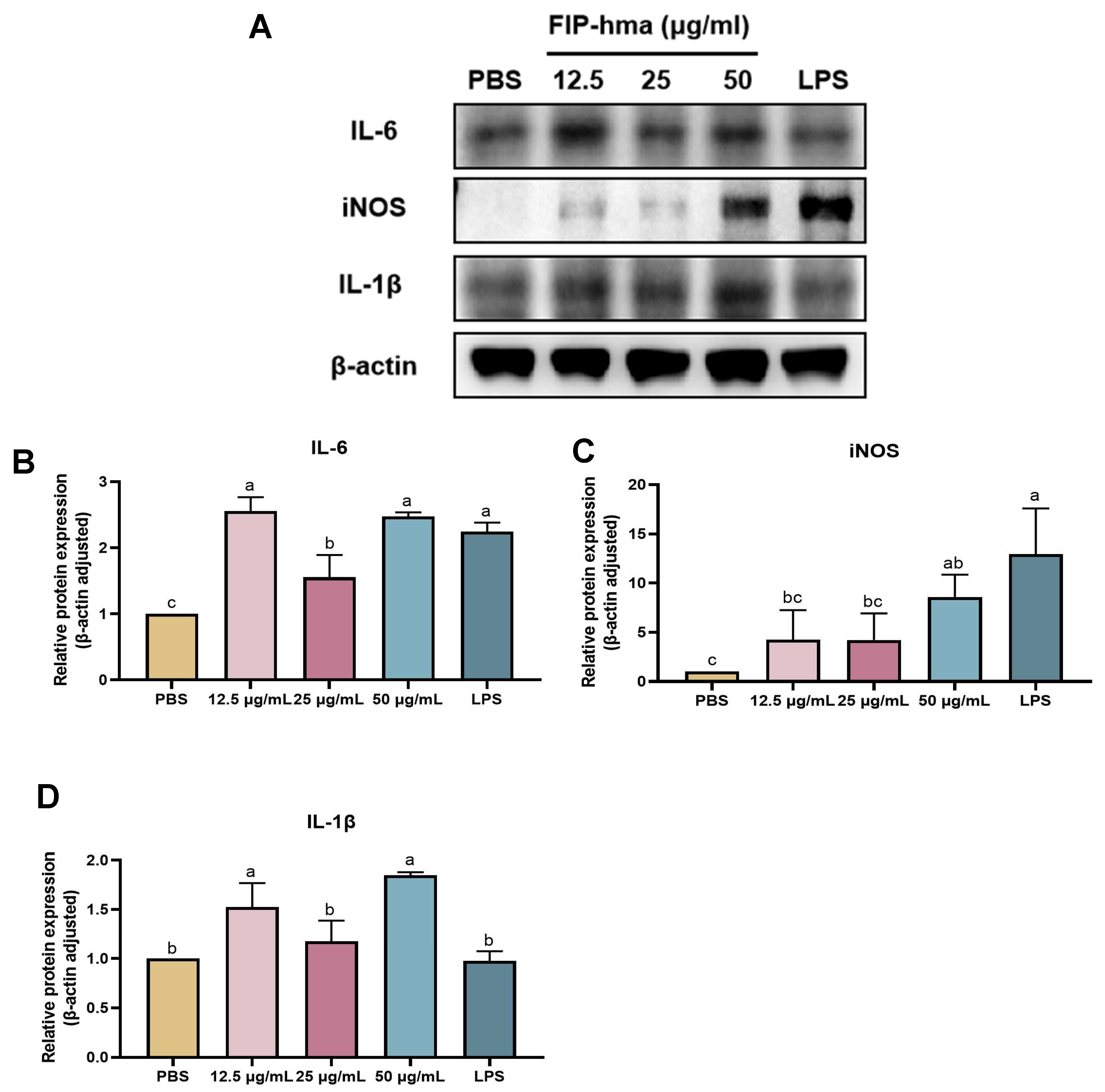 Molecules 28 04796 g008