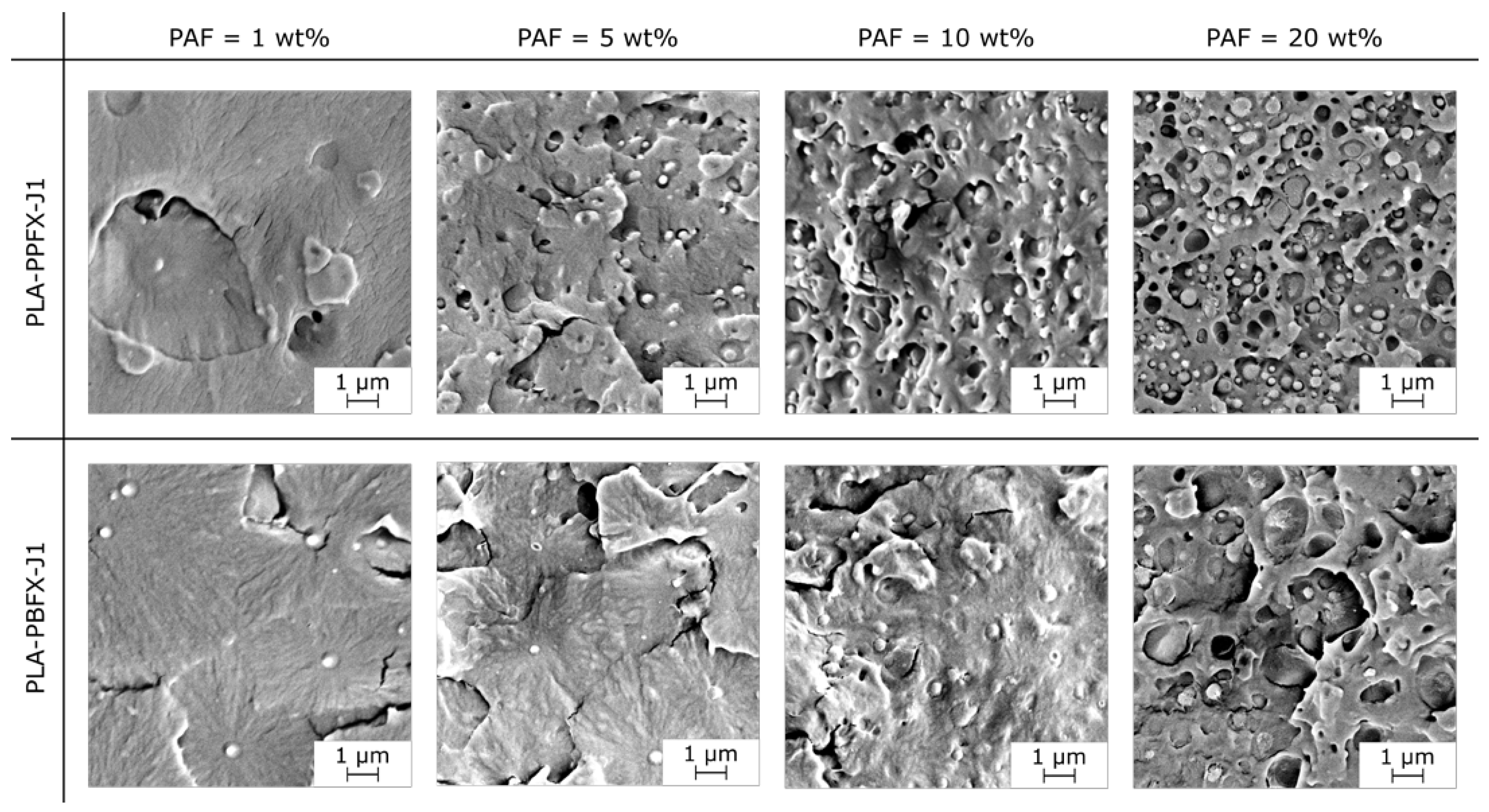 Molecules 28 04811 g003