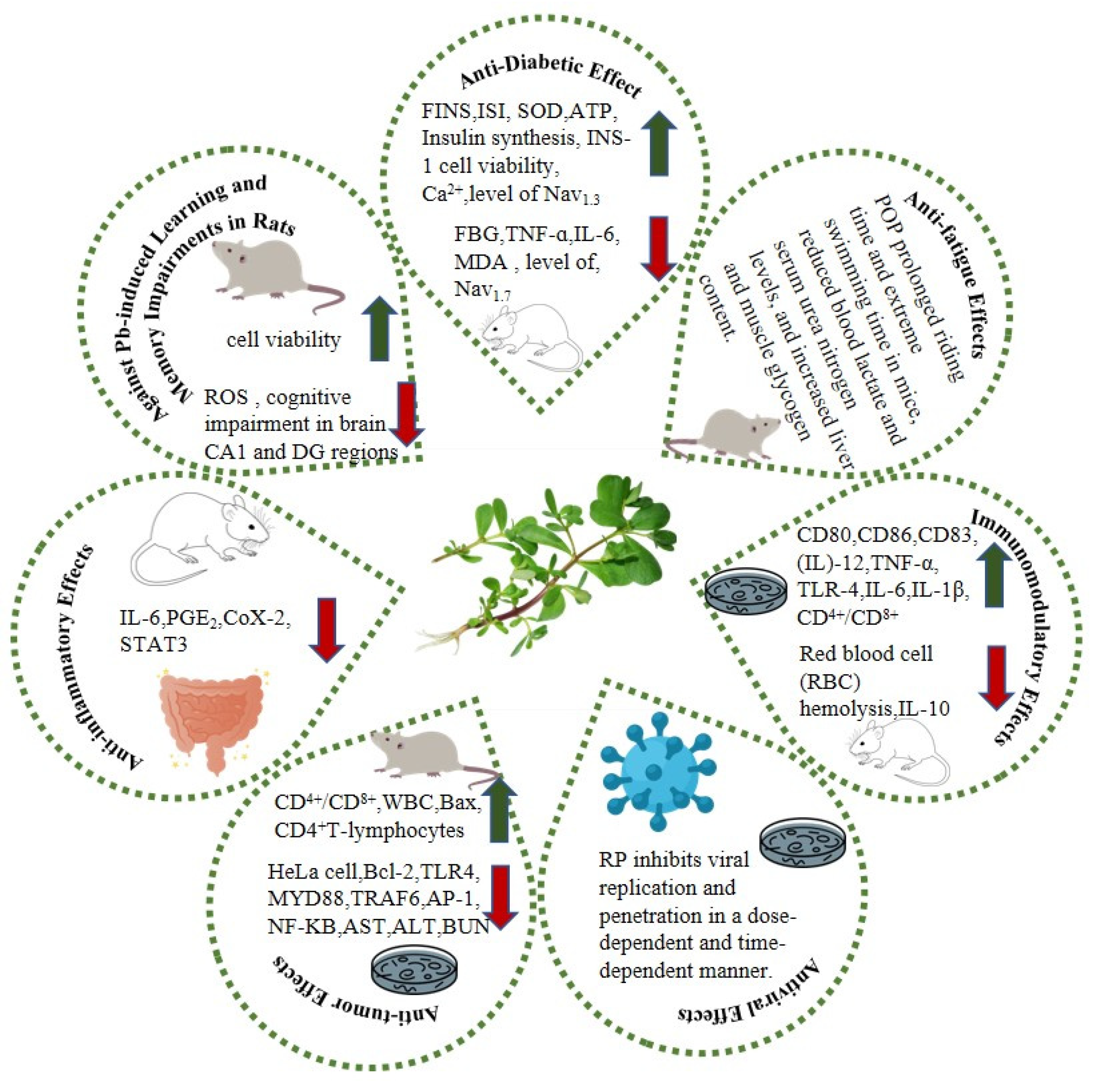 Molecules 28 04813 g003 Molecules 28 04813 g003