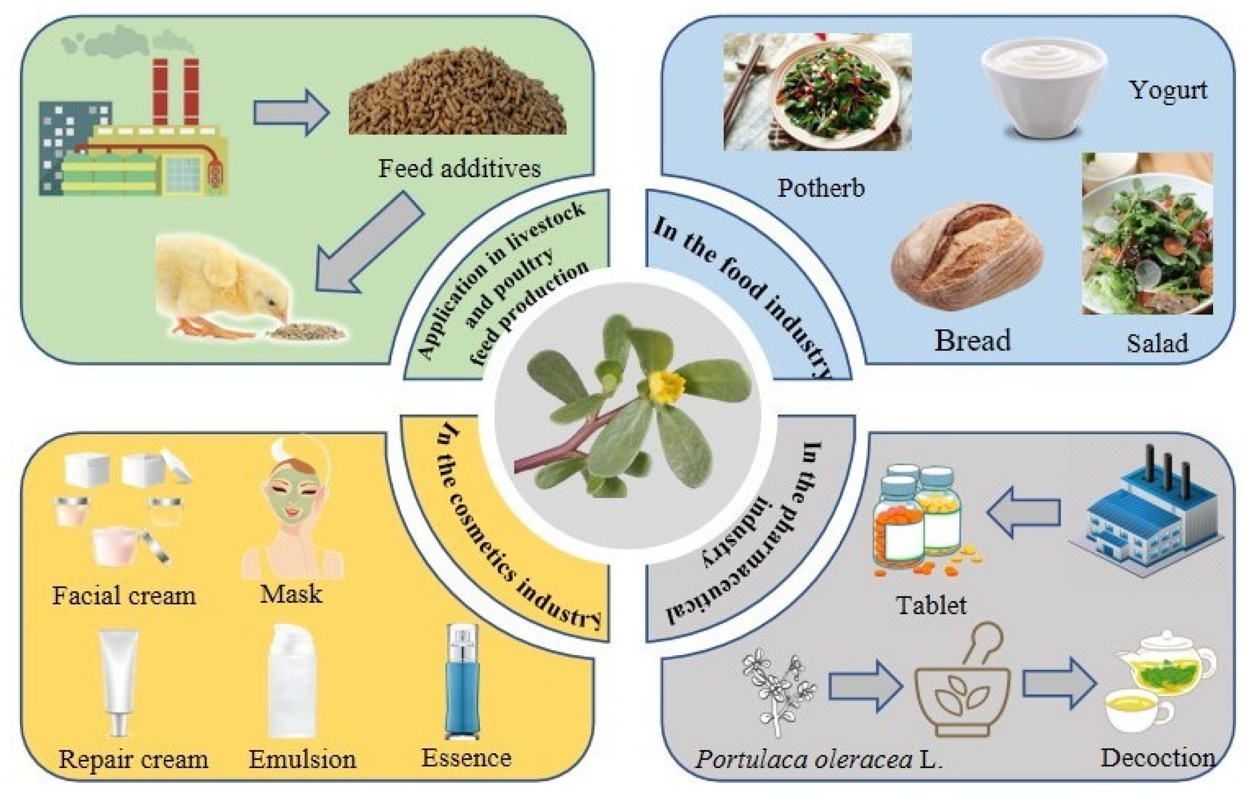 Molecules 28 04813 g005 Molecules 28 04813 g005