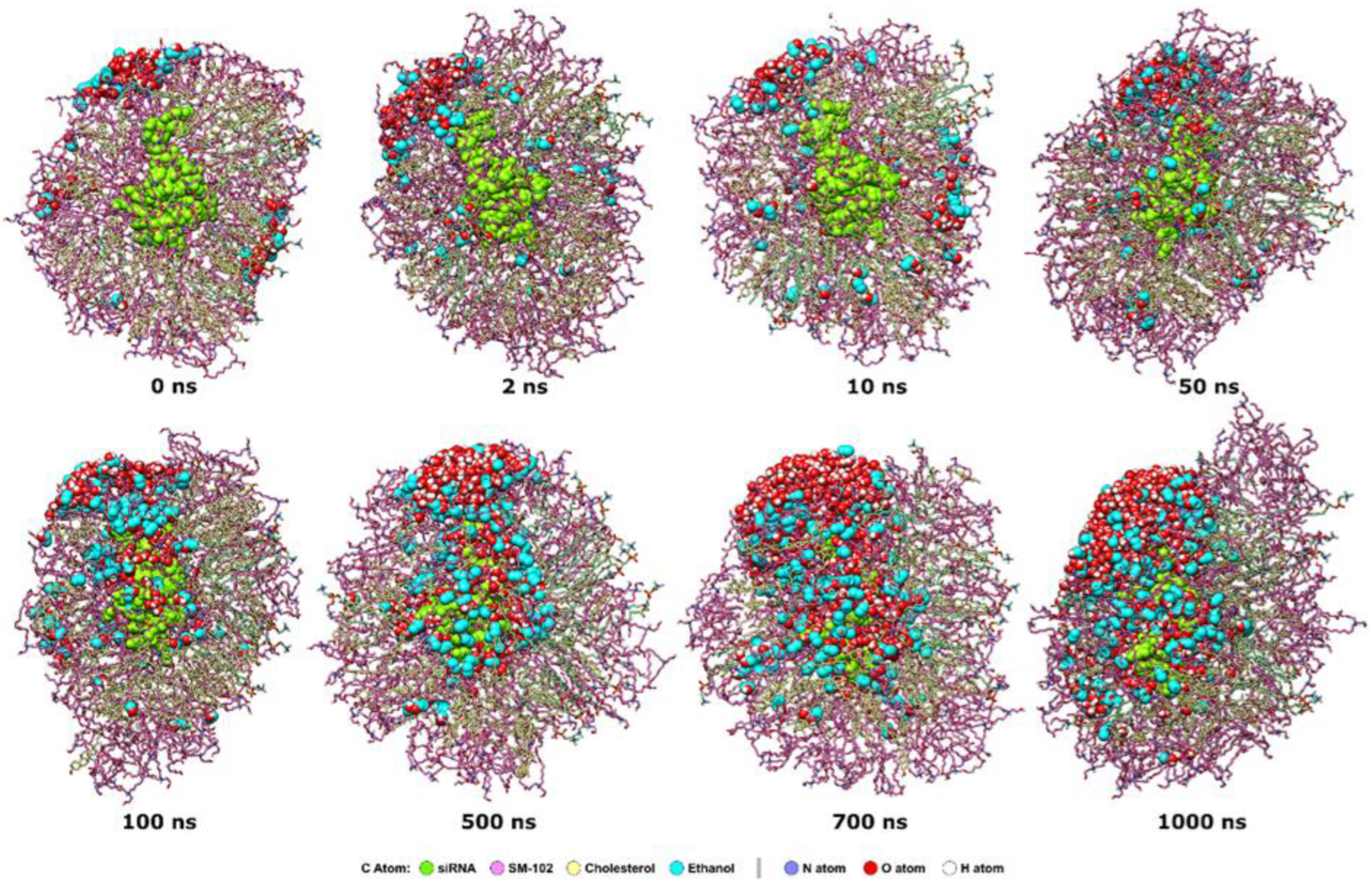 Molecules 28 04836 g010 Molecules 28 04836 g010