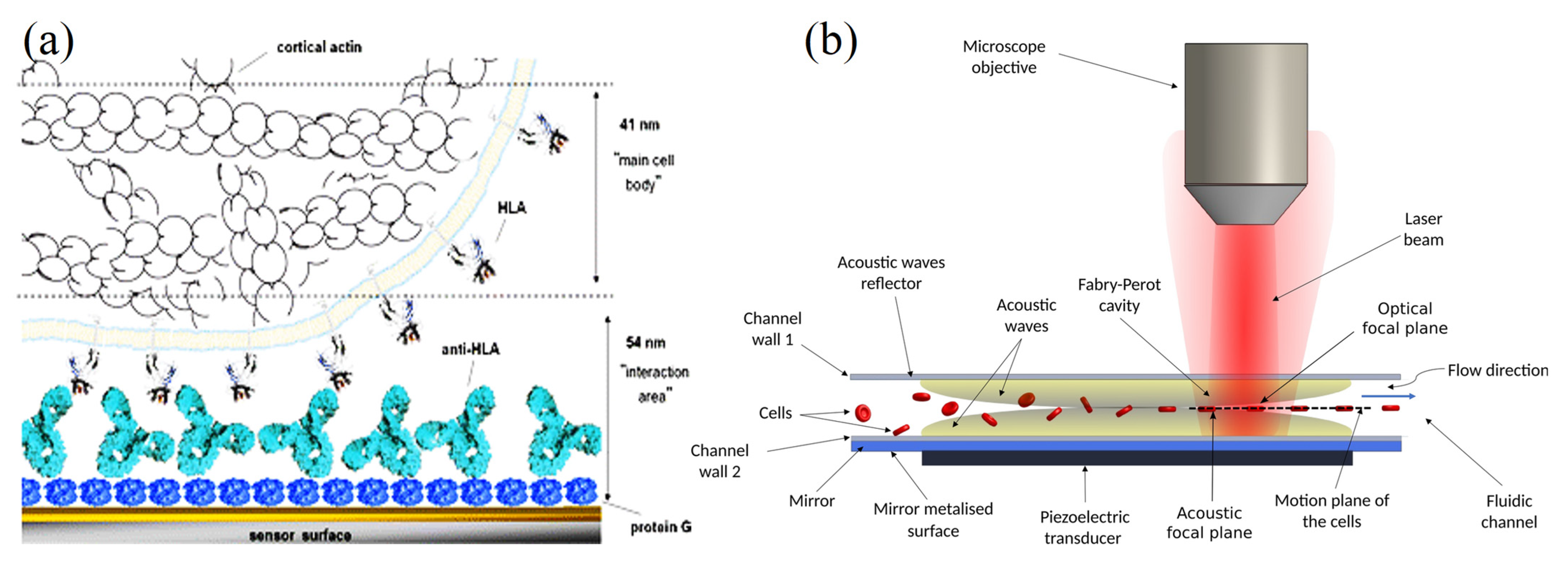 Molecules 28 04855 g008 Molecules 28 04855 g008