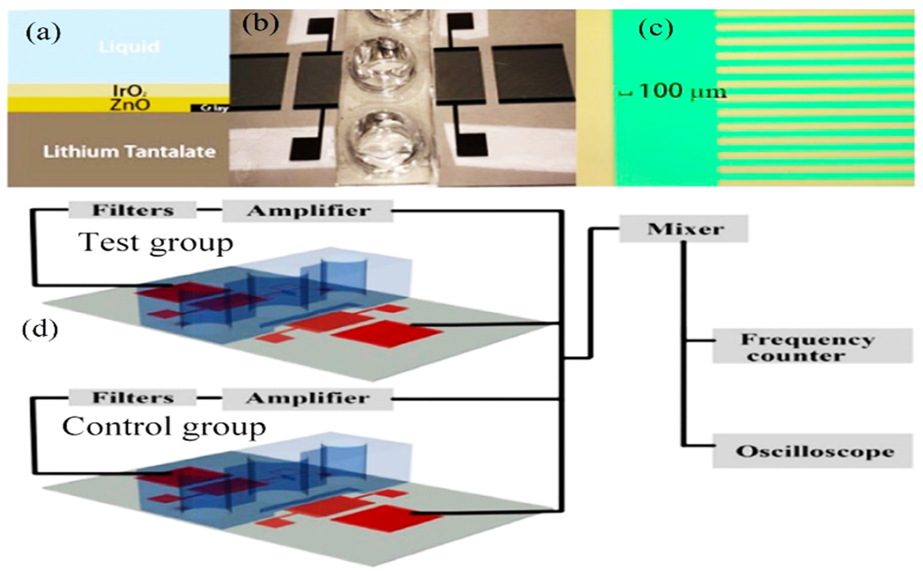 Molecules 28 04855 g010 Molecules 28 04855 g010
