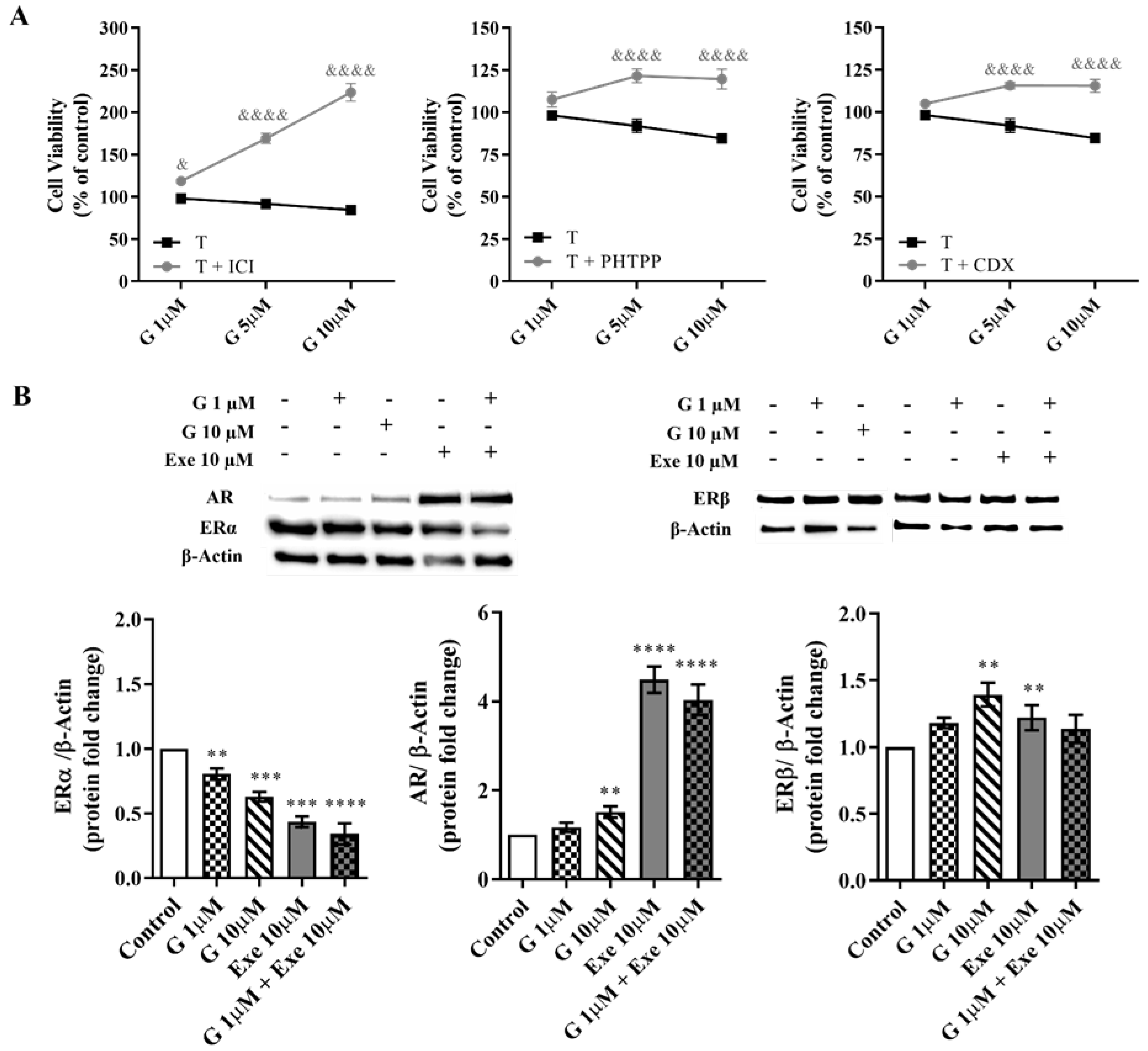 Molecules 28 04893 g005 Molecules 28 04893 g005