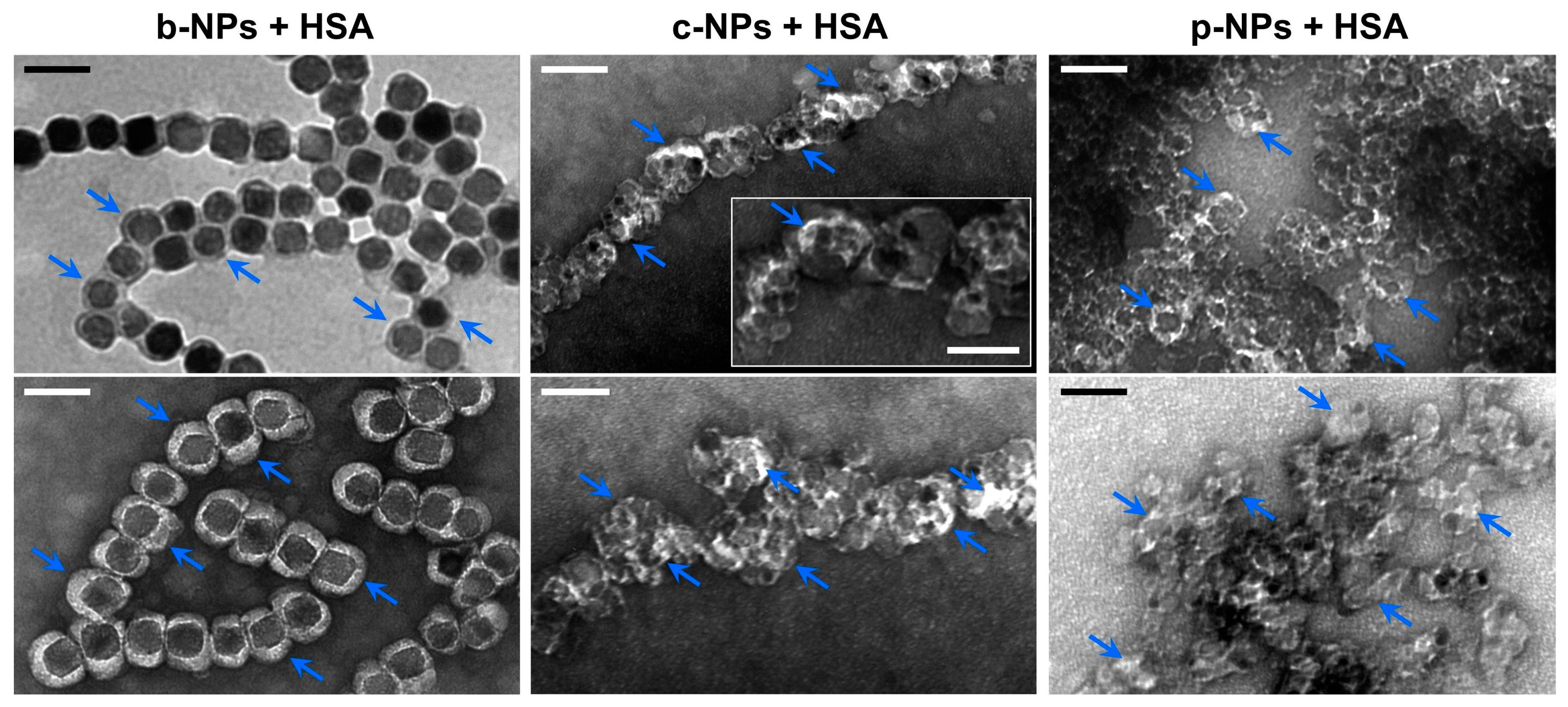 Molecules 28 04895 g003