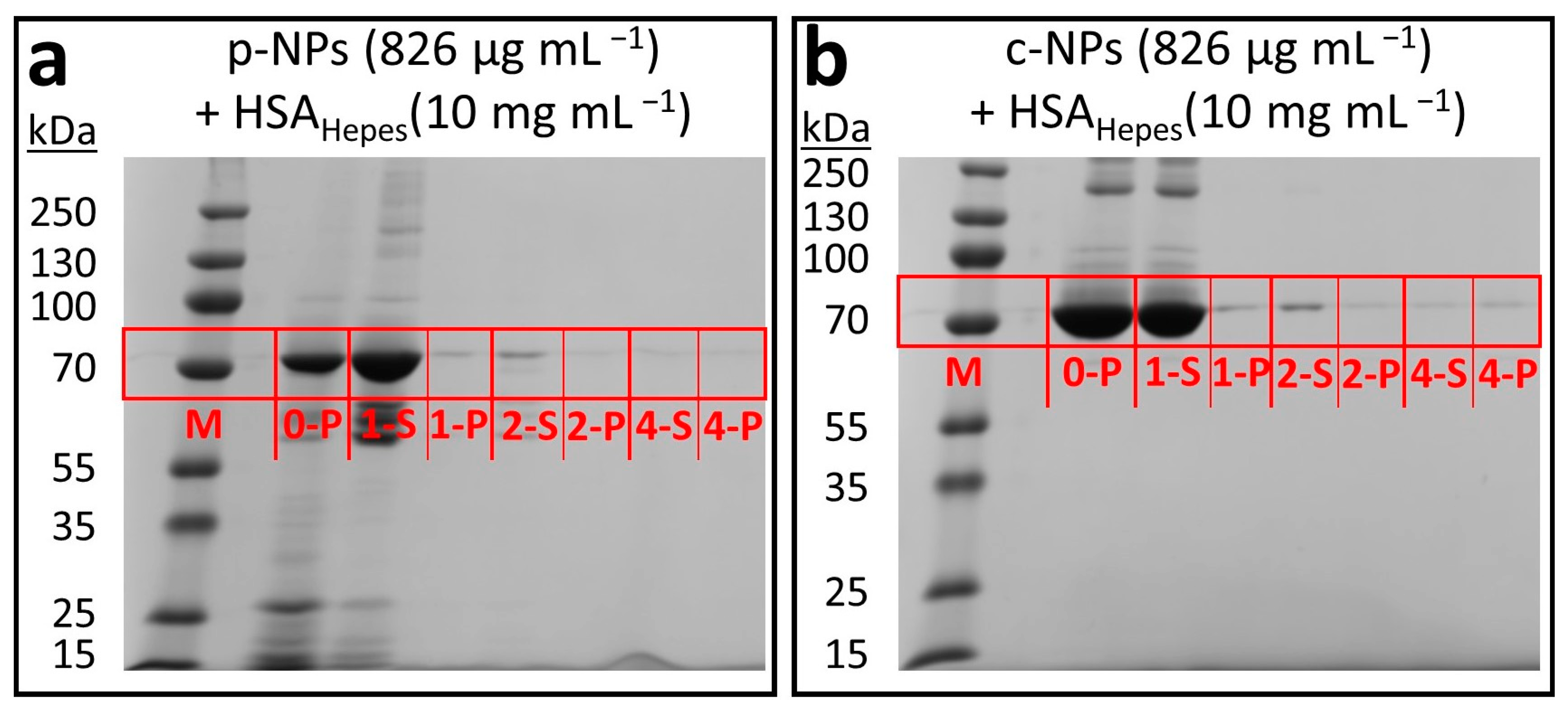 Molecules 28 04895 g005