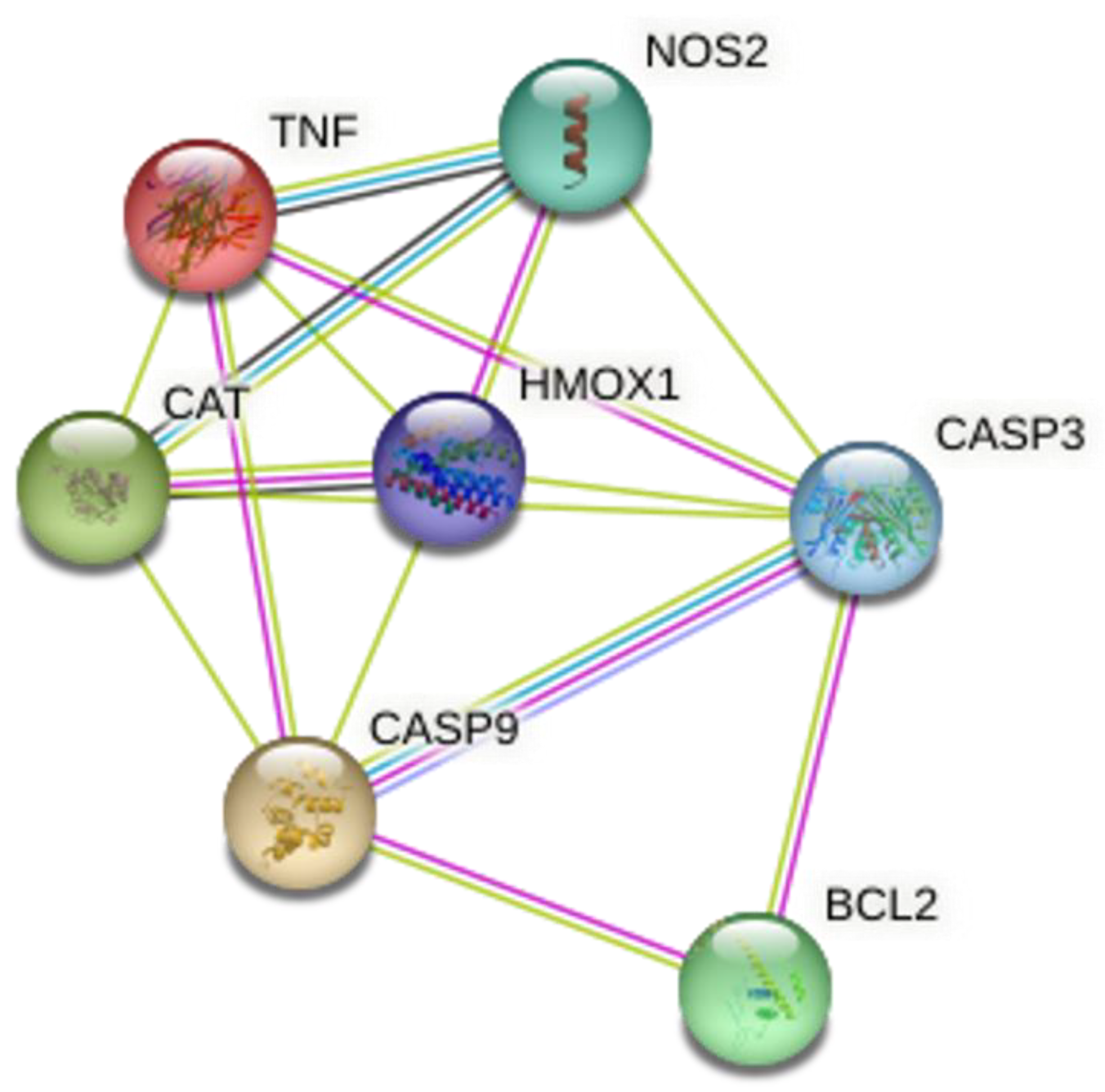 Molecules 28 04904 g007