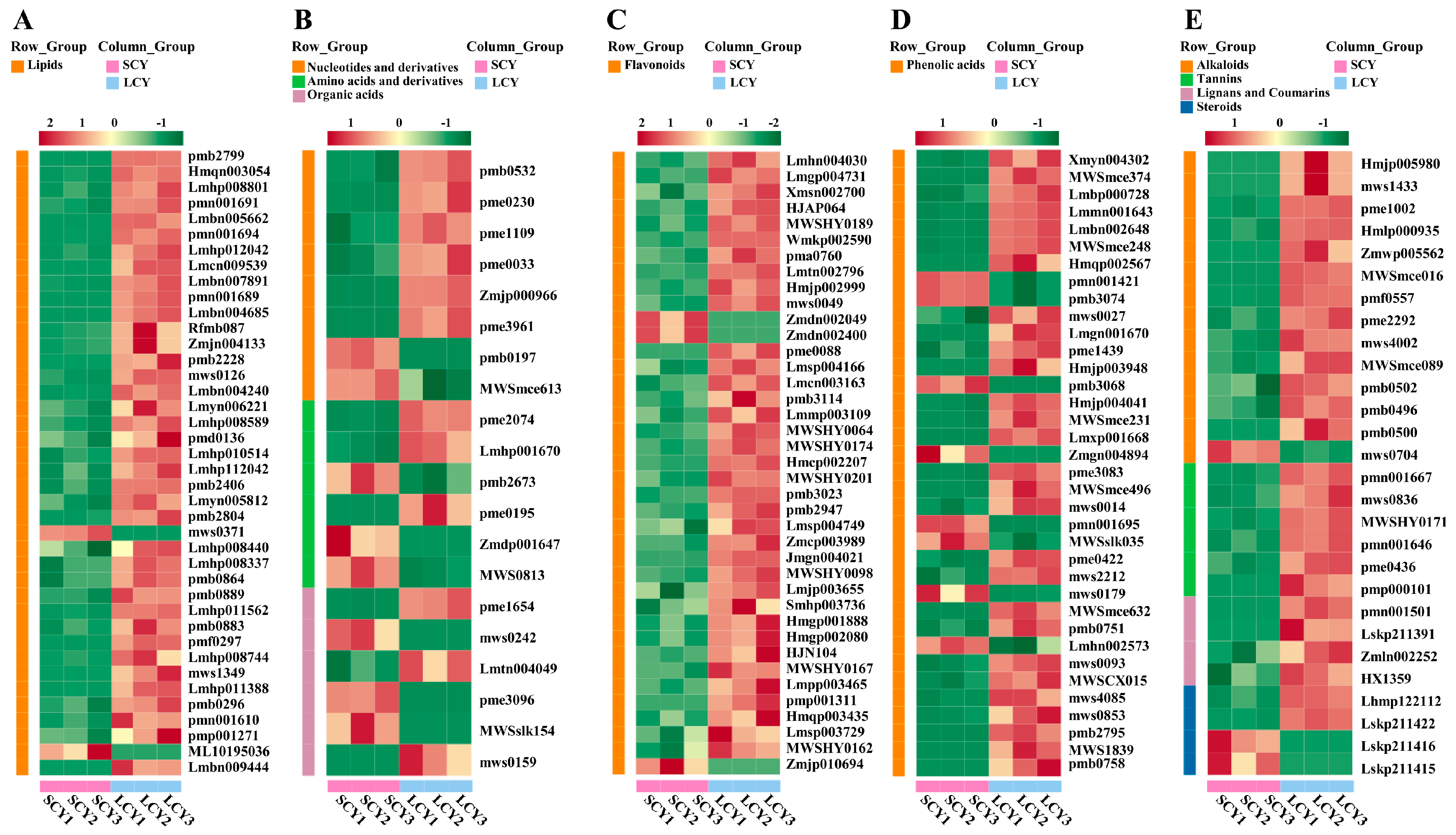 Molecules 28 04925 g004