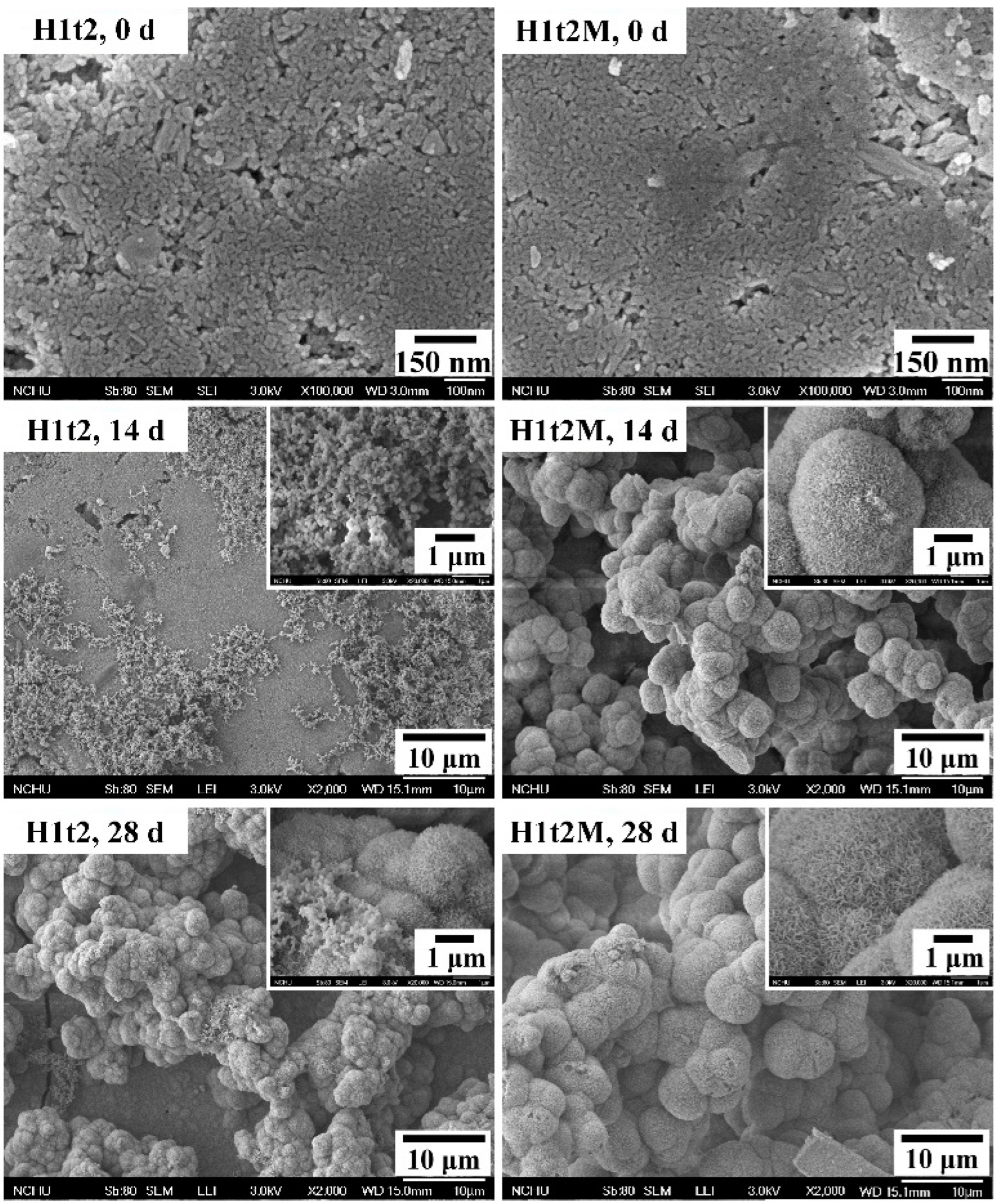 Molecules 28 04926 g005 Molecules 28 04926 g005