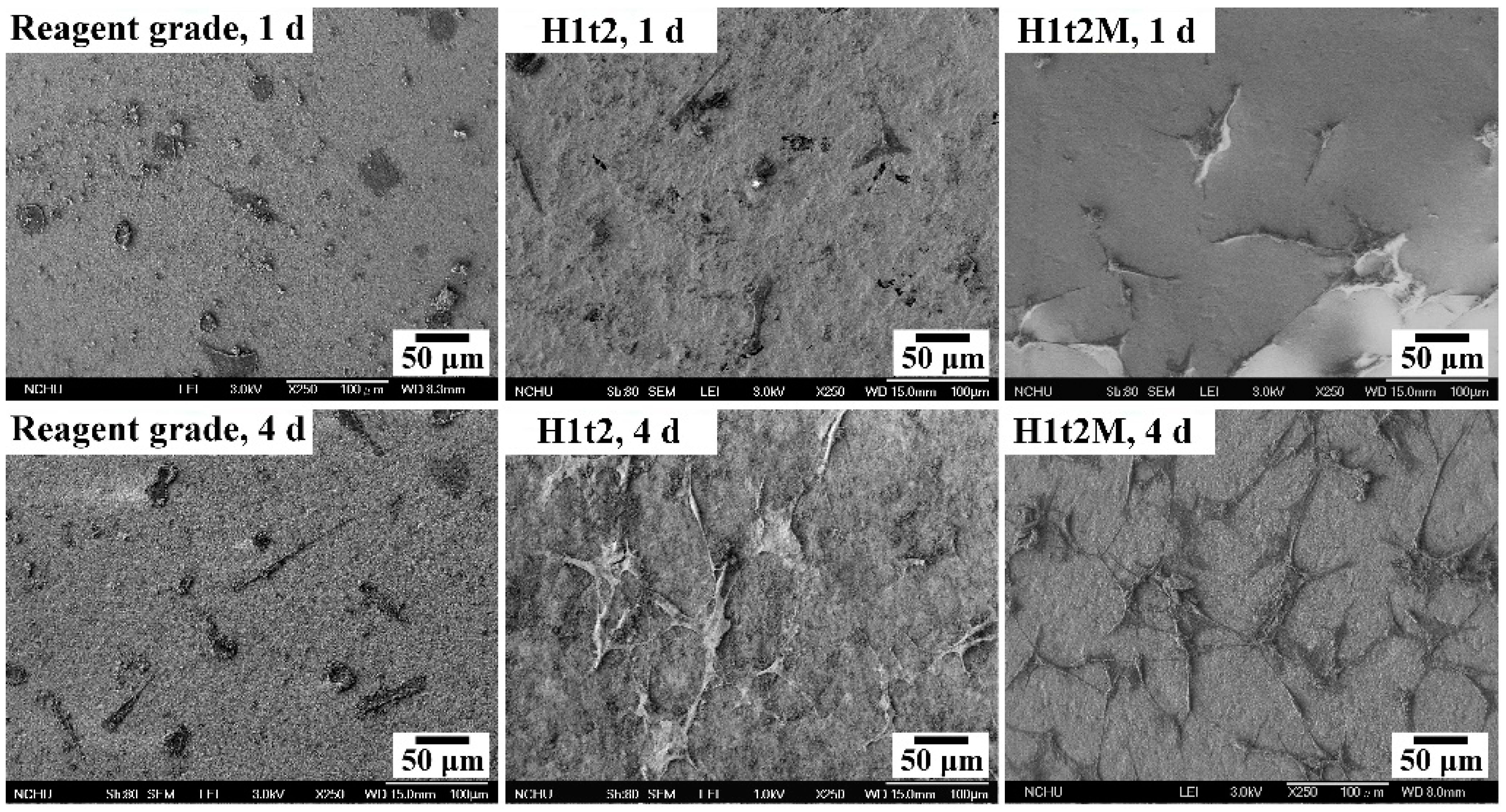 Molecules 28 04926 g006 Molecules 28 04926 g006