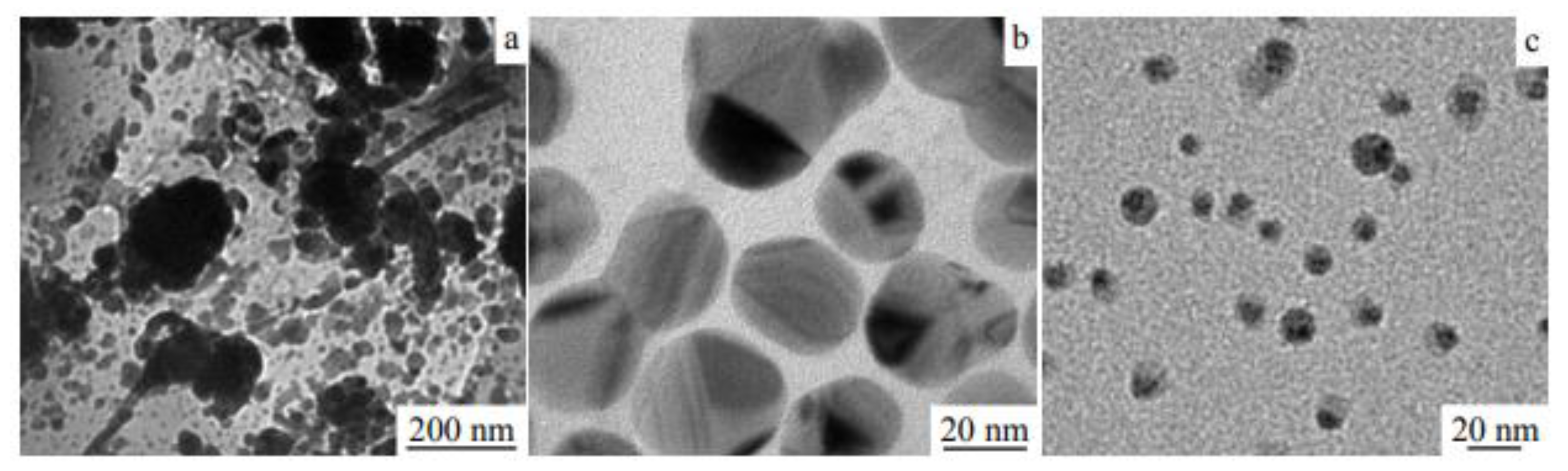 Molecules 28 04932 g009 Molecules 28 04932 g009