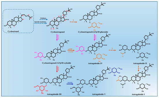 Molecules | Free Full-Text | Biosynthesis And Pharmacological ...