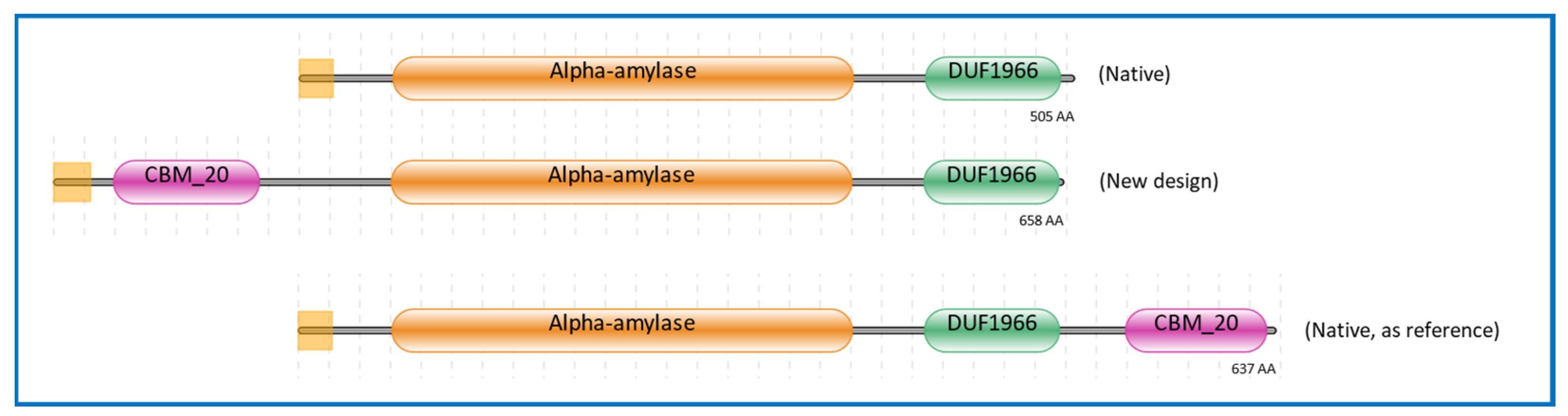 Molecules | Free Full-Text | Novel Design of an α-Amylase