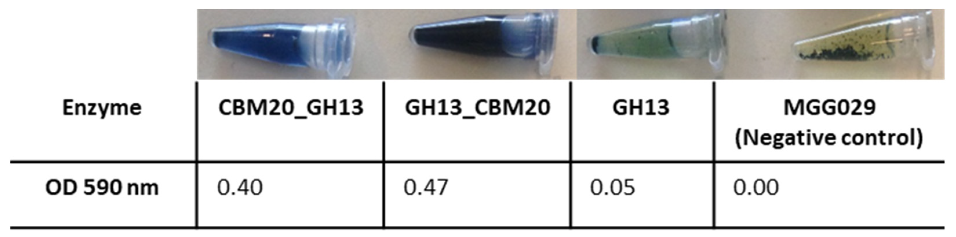 Molecules 28 05033 g002