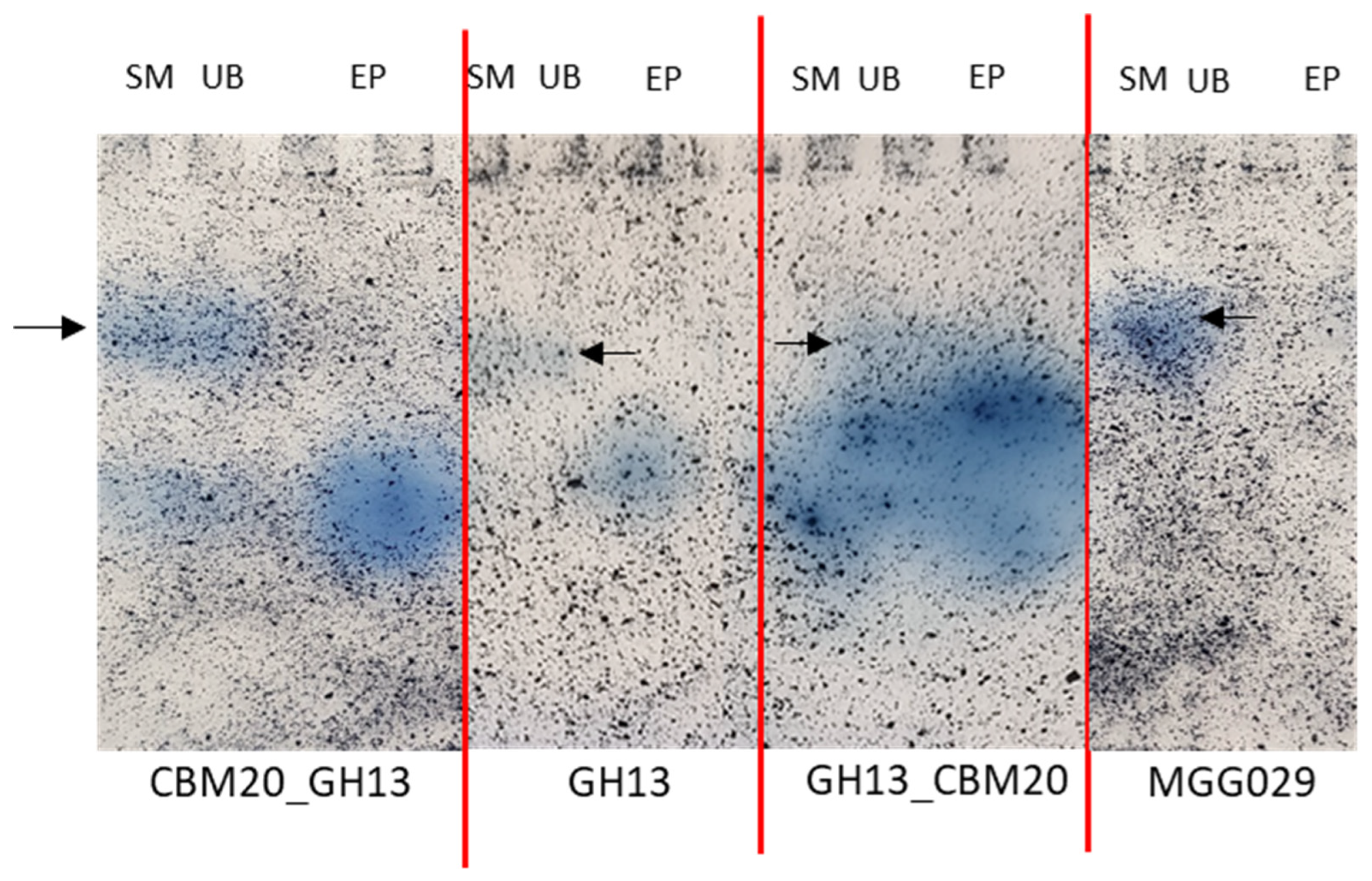 Molecules 28 05033 g004