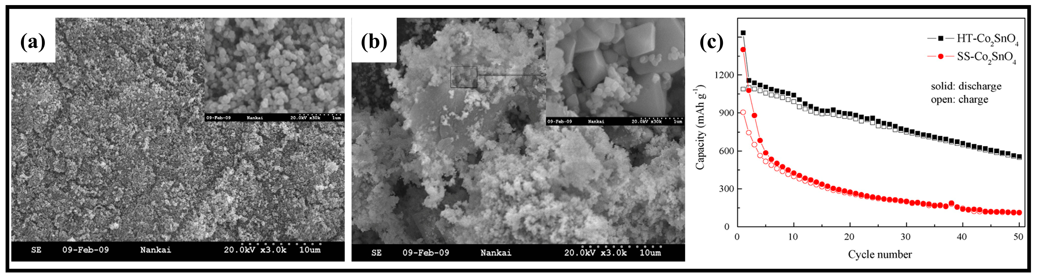 Molecules 28 05037 g004 Molecules 28 05037 g004