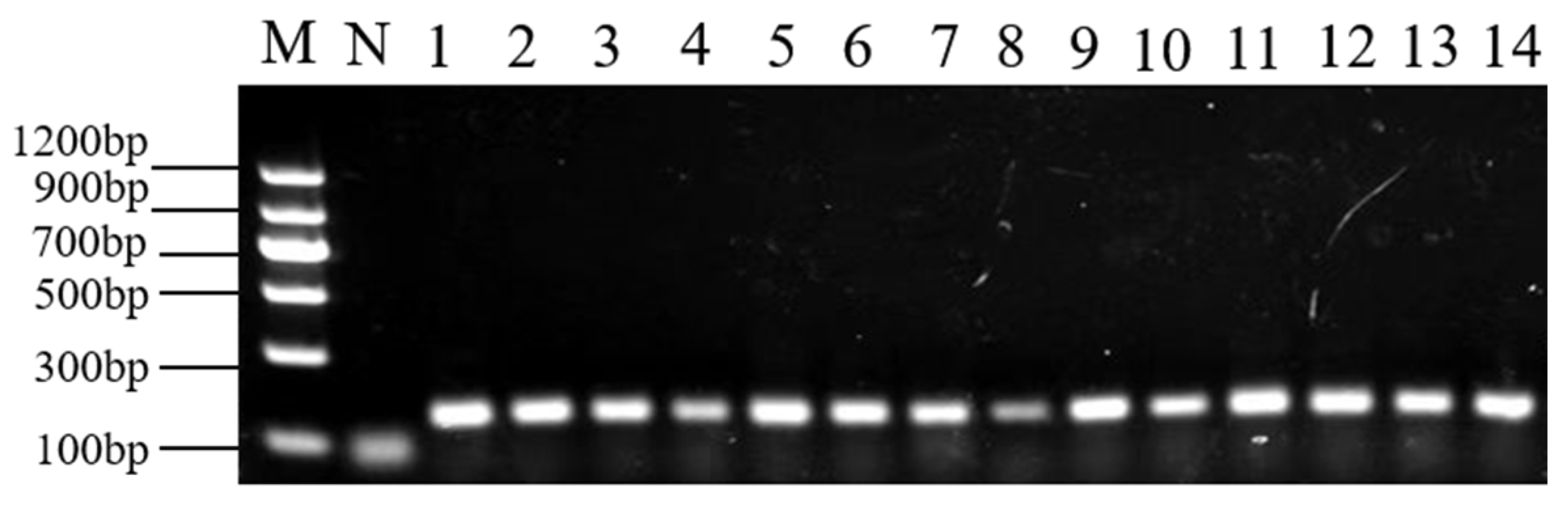 Molecules 28 05046 g002 Molecules 28 05046 g002