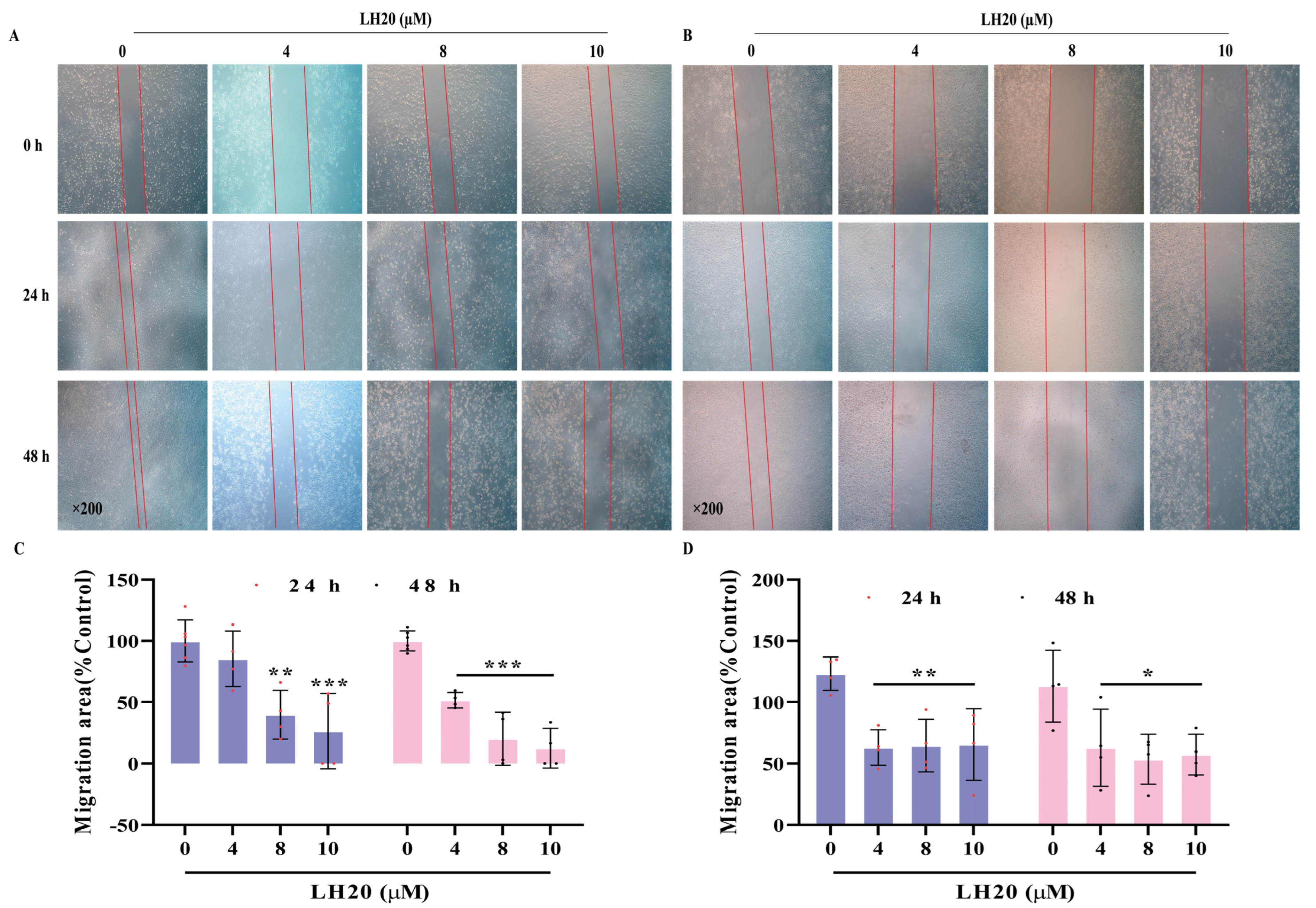 Molecules 28 05047 g002 Molecules 28 05047 g002