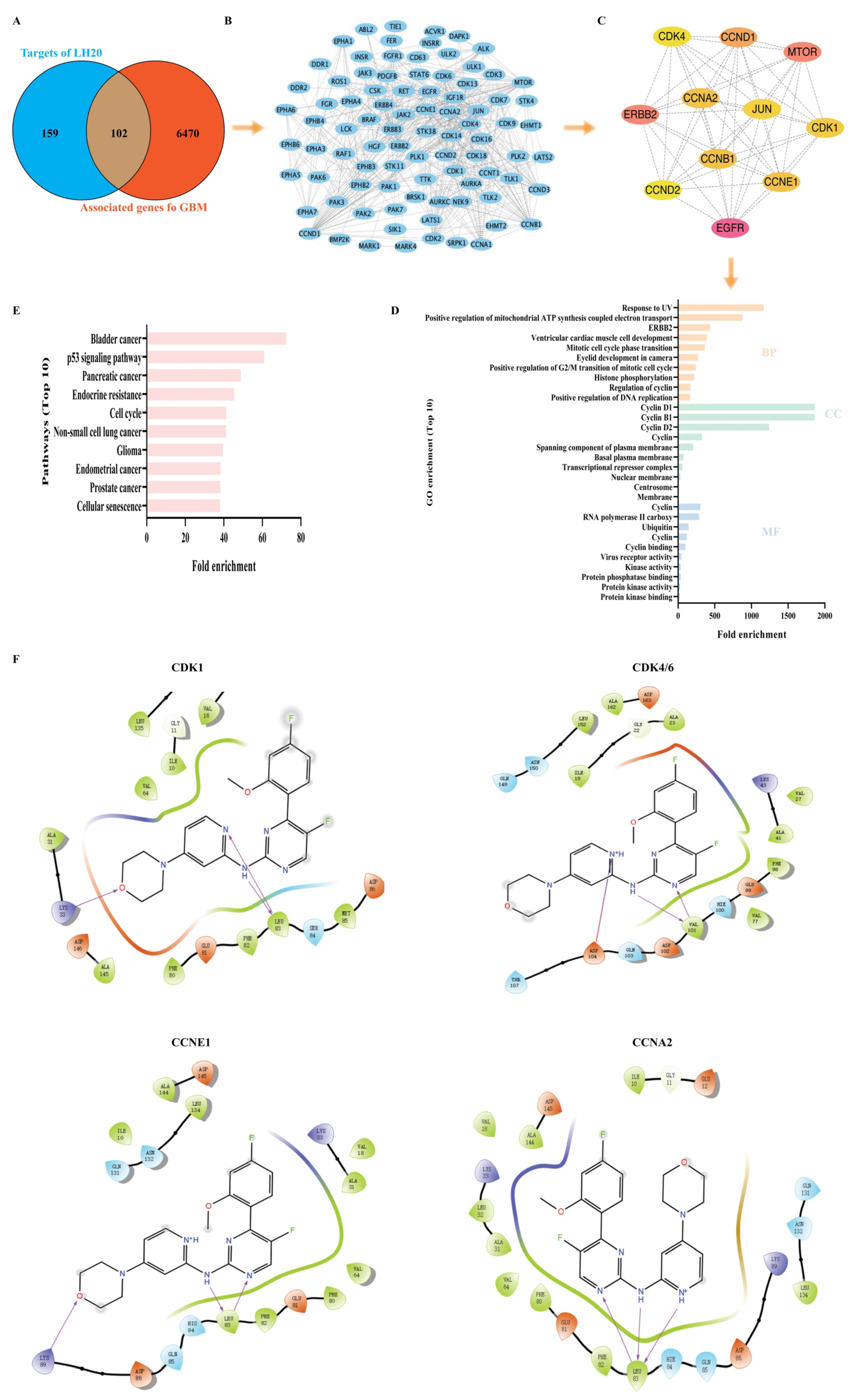 Molecules 28 05047 g006 Molecules 28 05047 g006