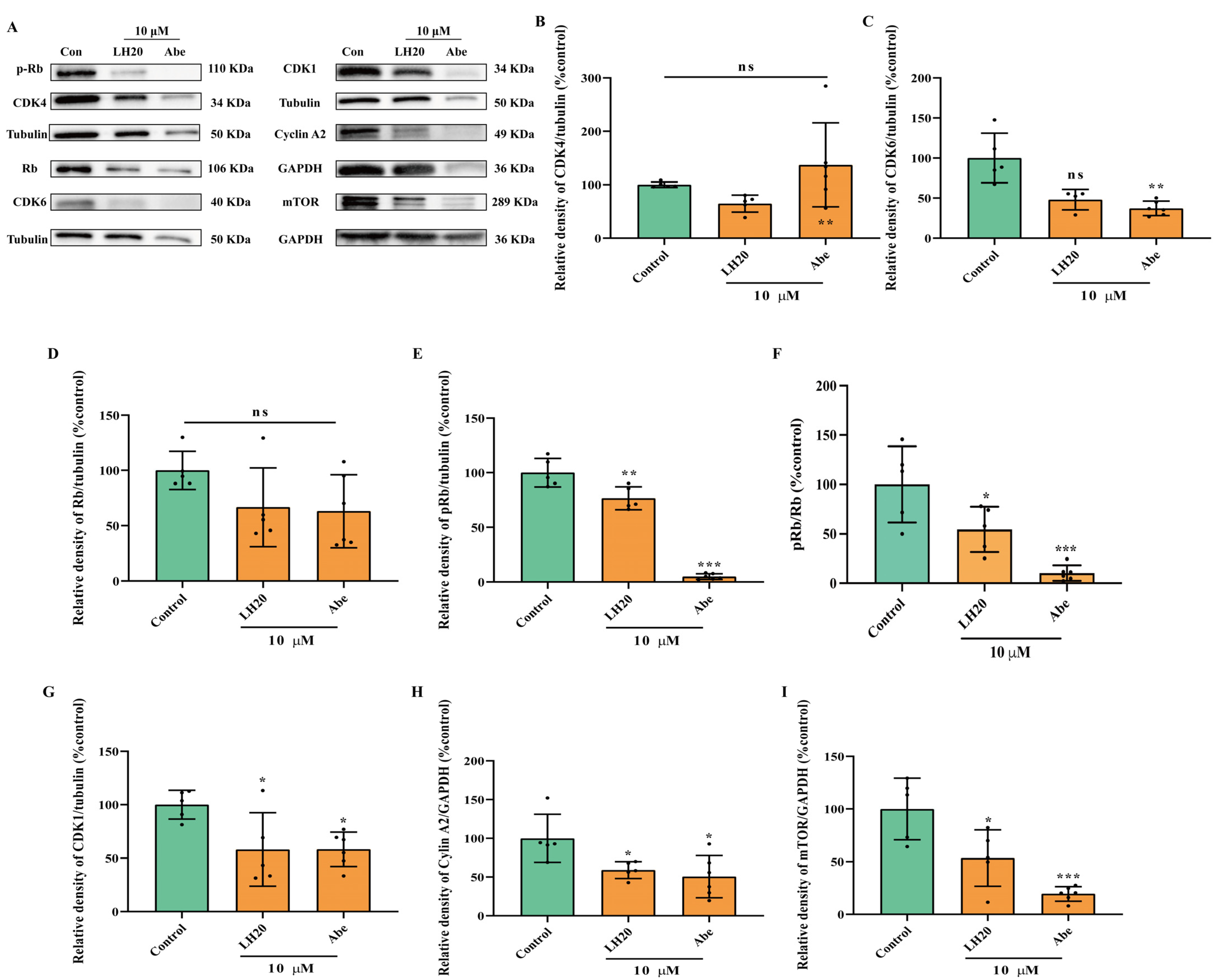 Molecules 28 05047 g008 Molecules 28 05047 g008