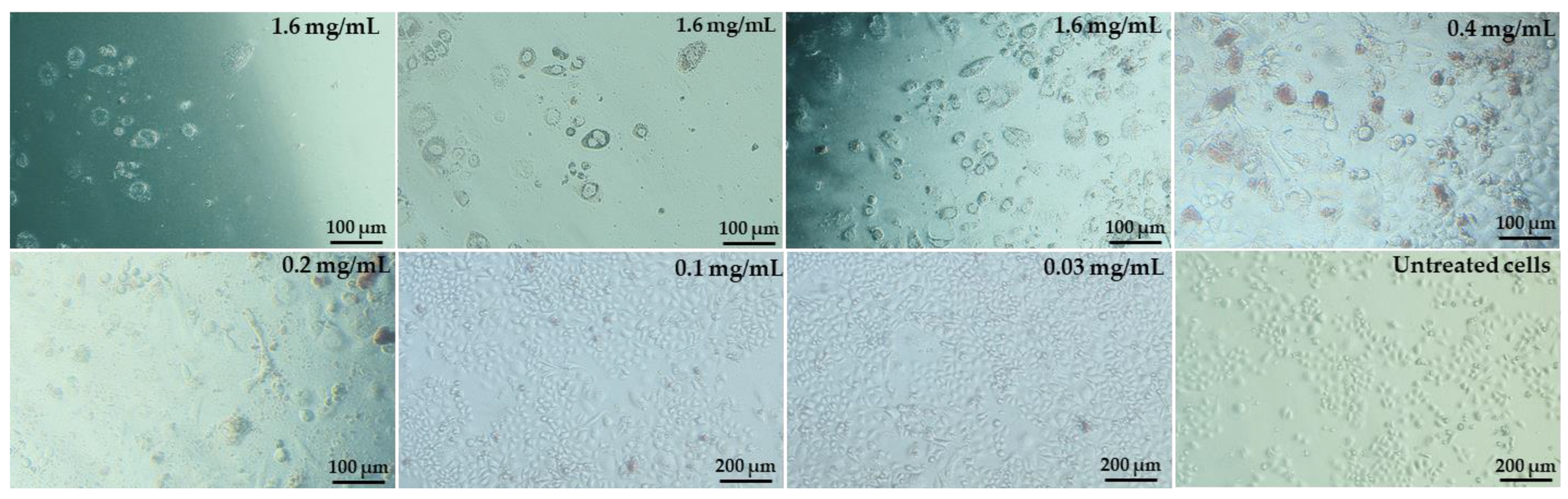 Molecules 28 05064 g007 Molecules 28 05064 g007