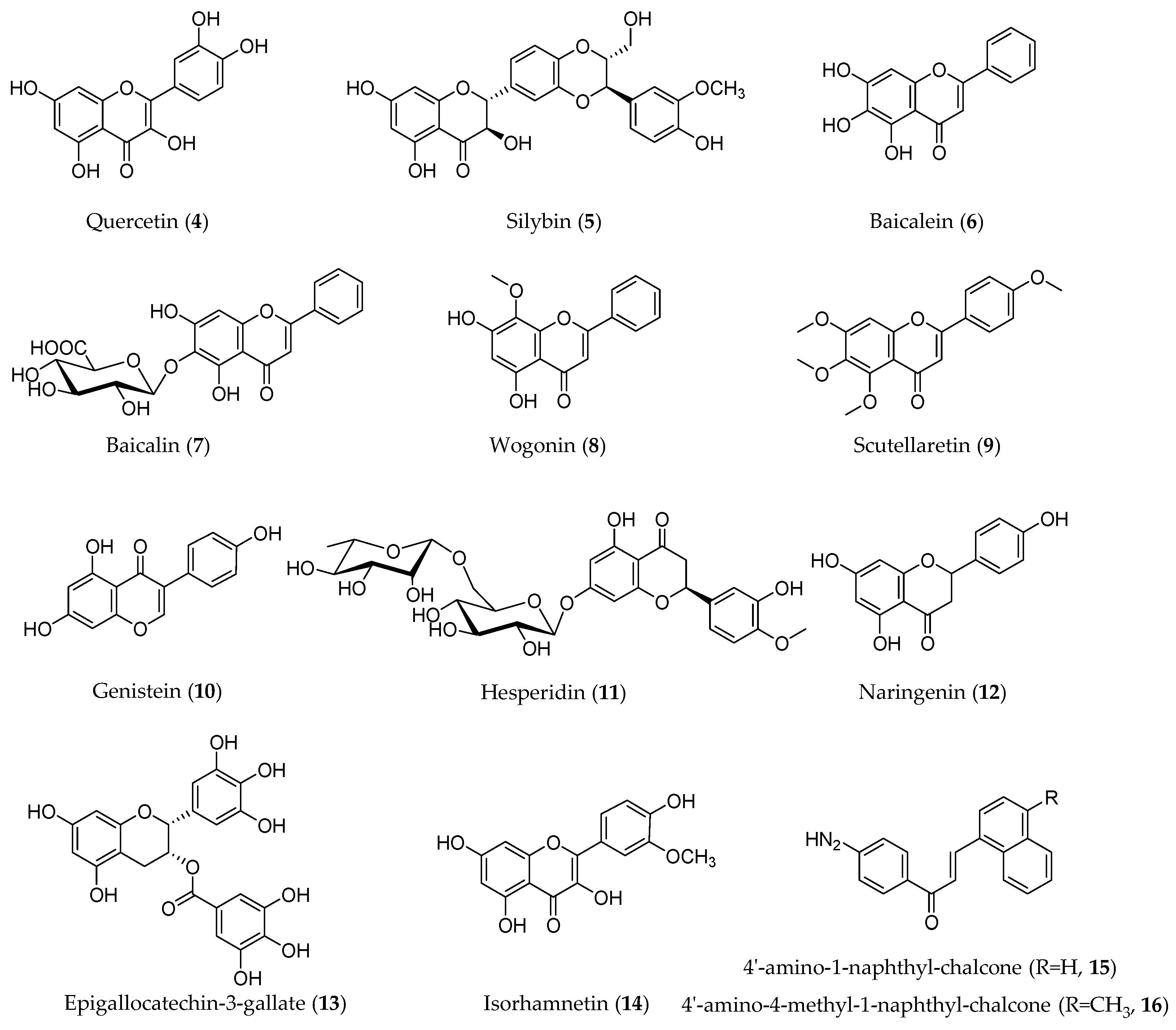 Molecules 28 05069 g004 Molecules 28 05069 g004