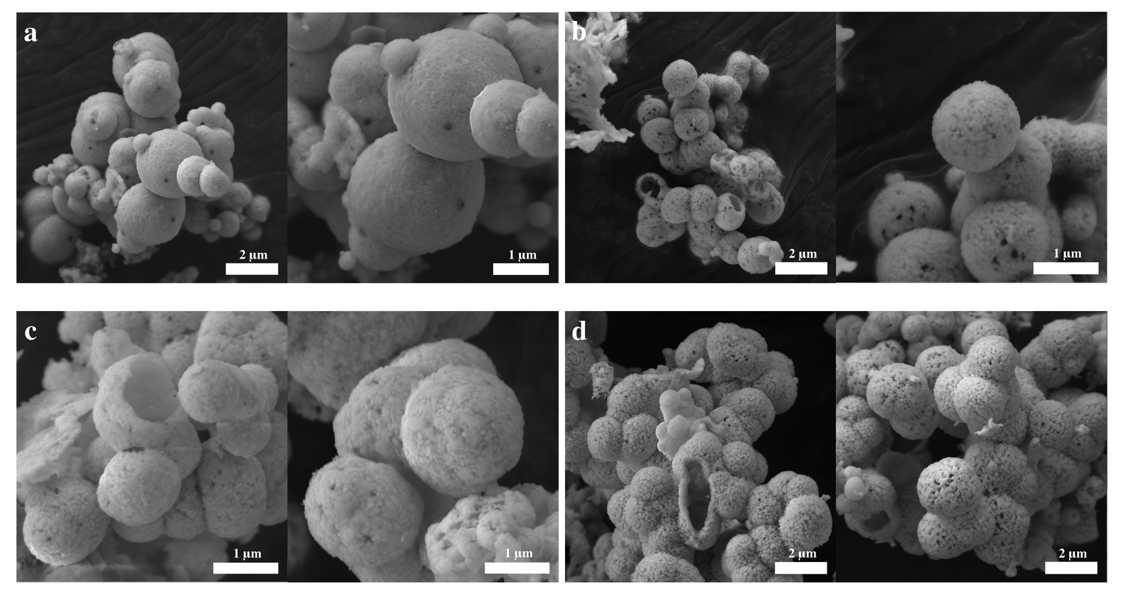 Molecules 28 05079 g004