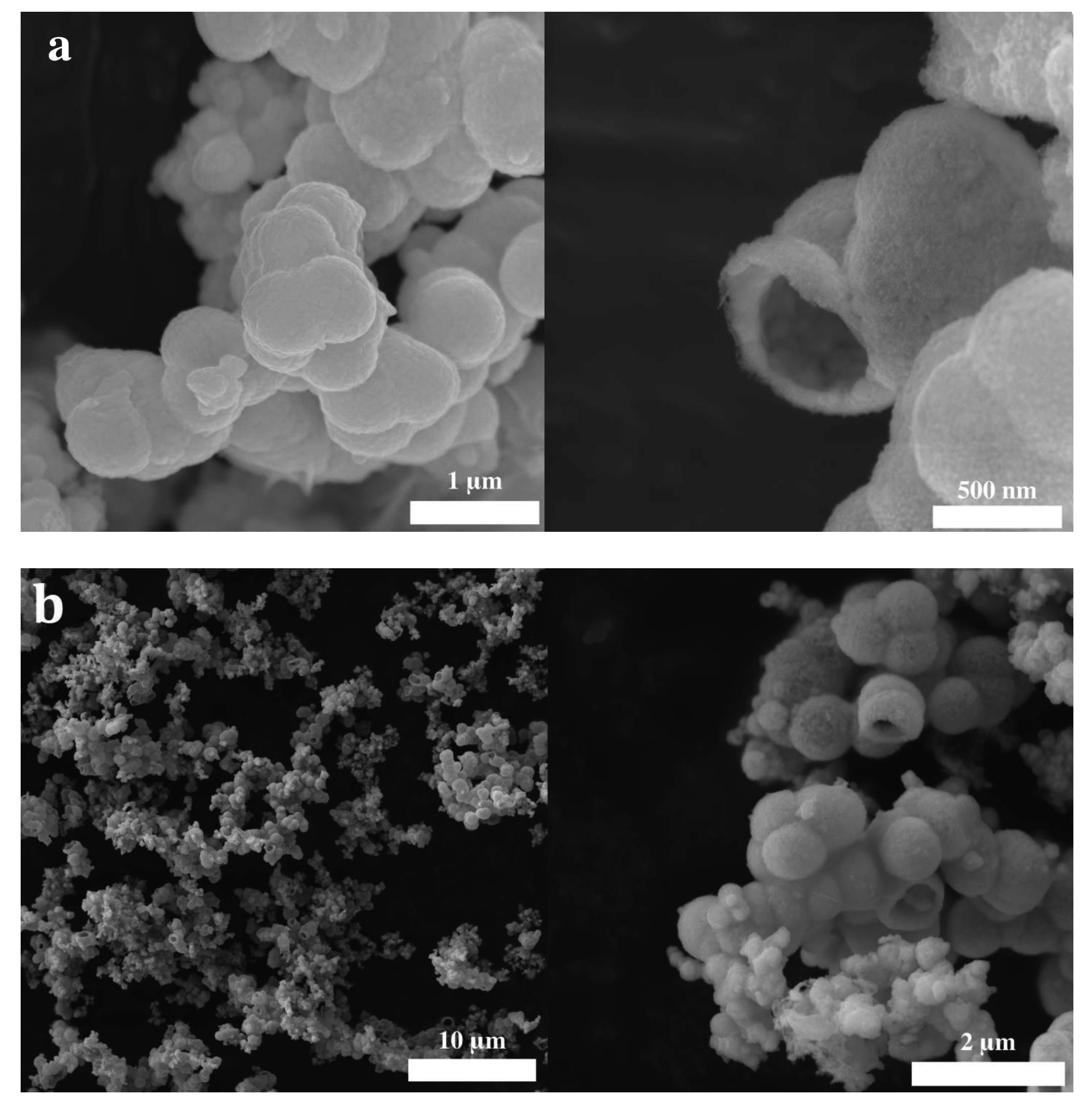 Molecules 28 05079 g007