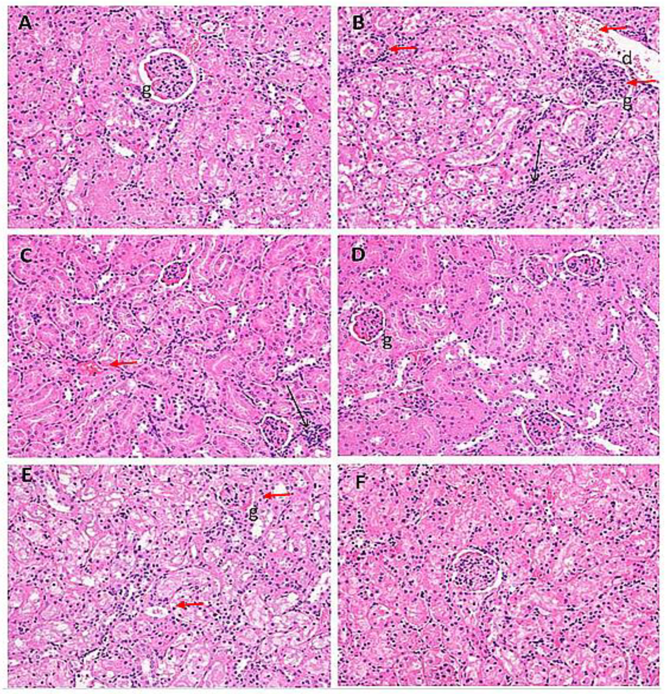 Molecules 28 05084 g008