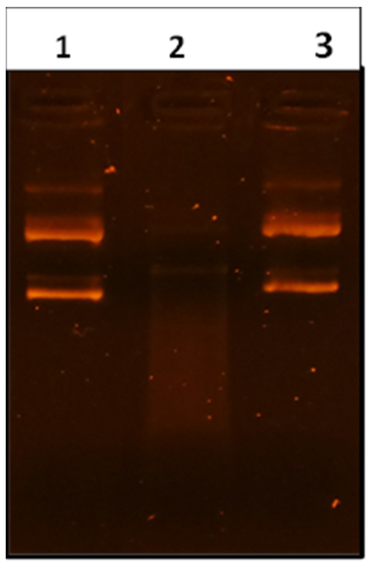 Molecules 28 05096 g001