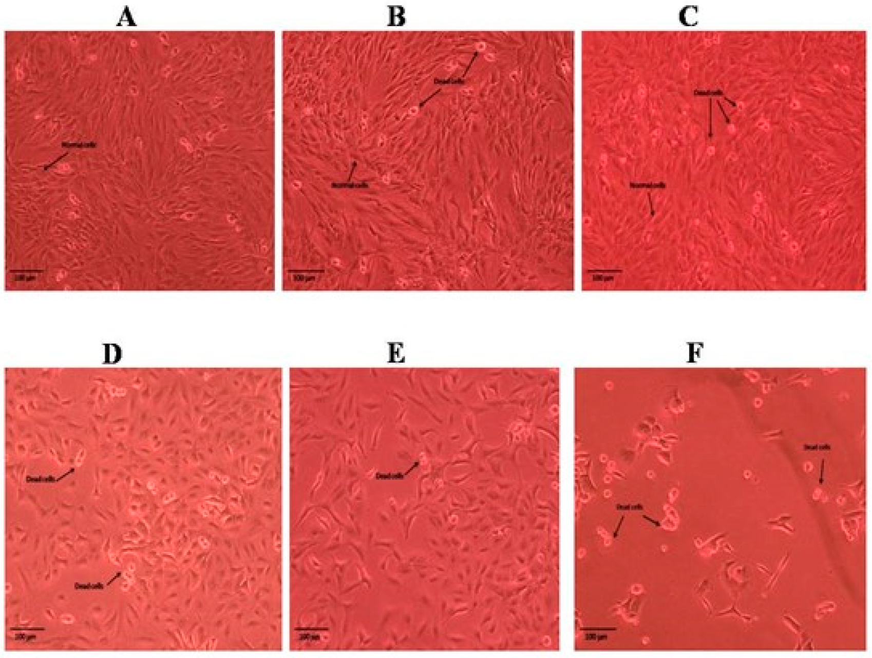 Molecules 28 05108 g004