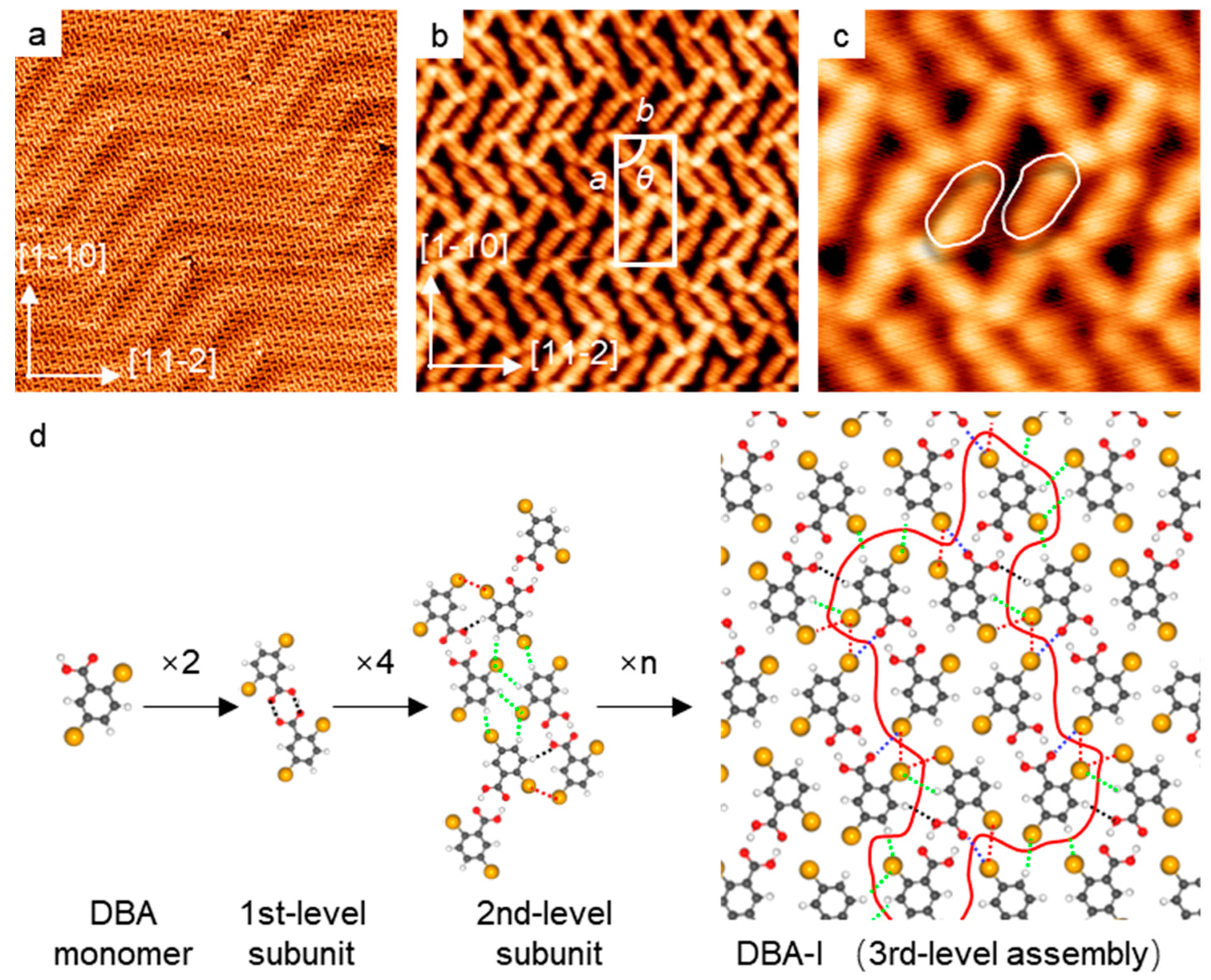 Molecules 28 05116 g001