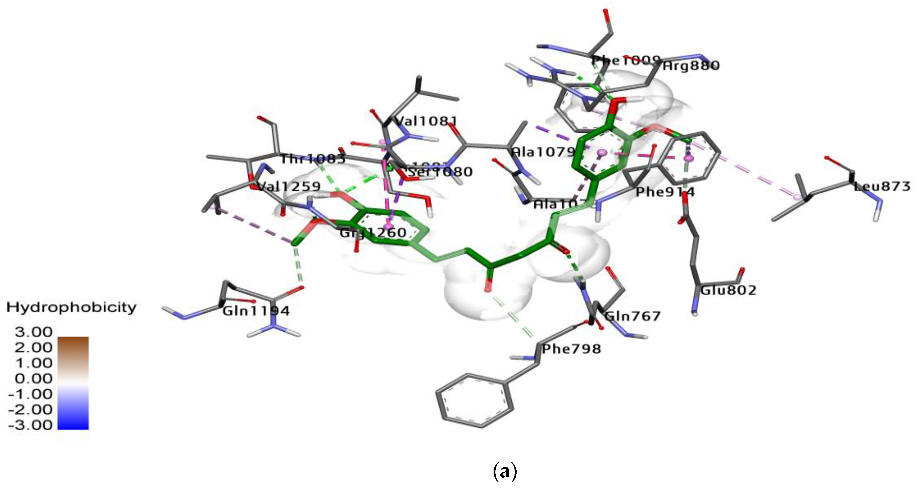 Molecules 28 05124 g004a Molecules 28 05124 g004a