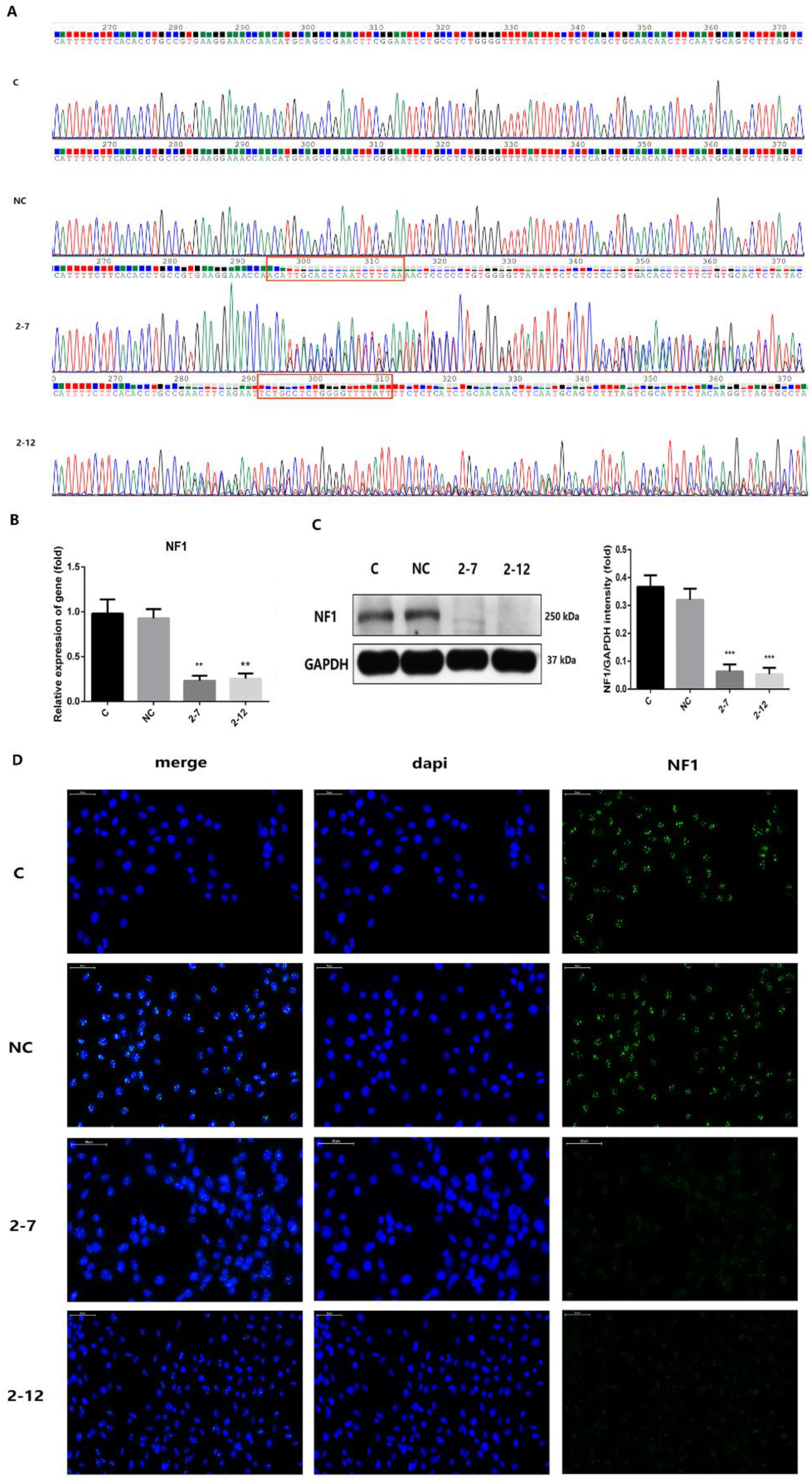 Molecules 28 05128 g001 Molecules 28 05128 g001