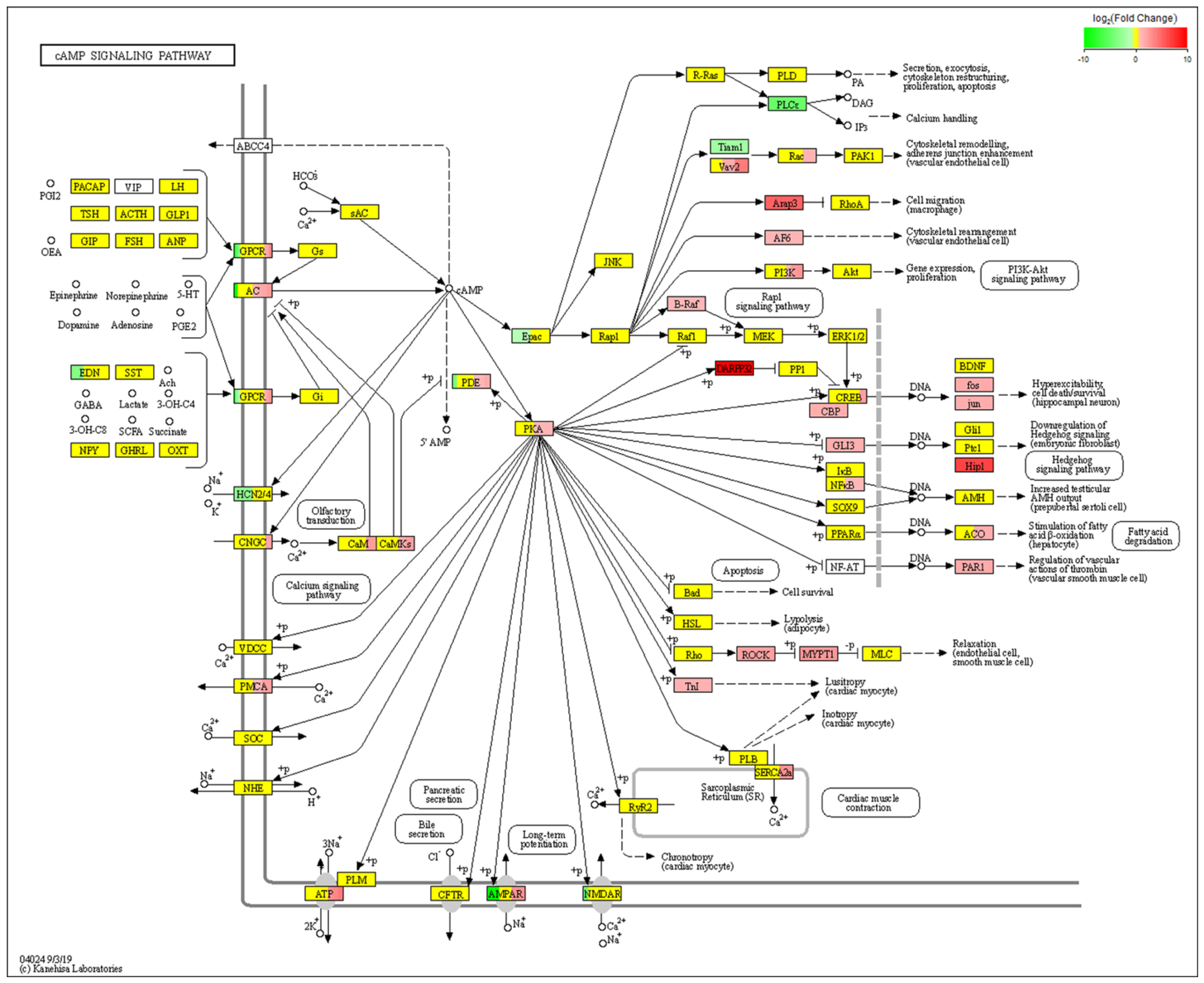 Molecules 28 05128 g005 Molecules 28 05128 g005