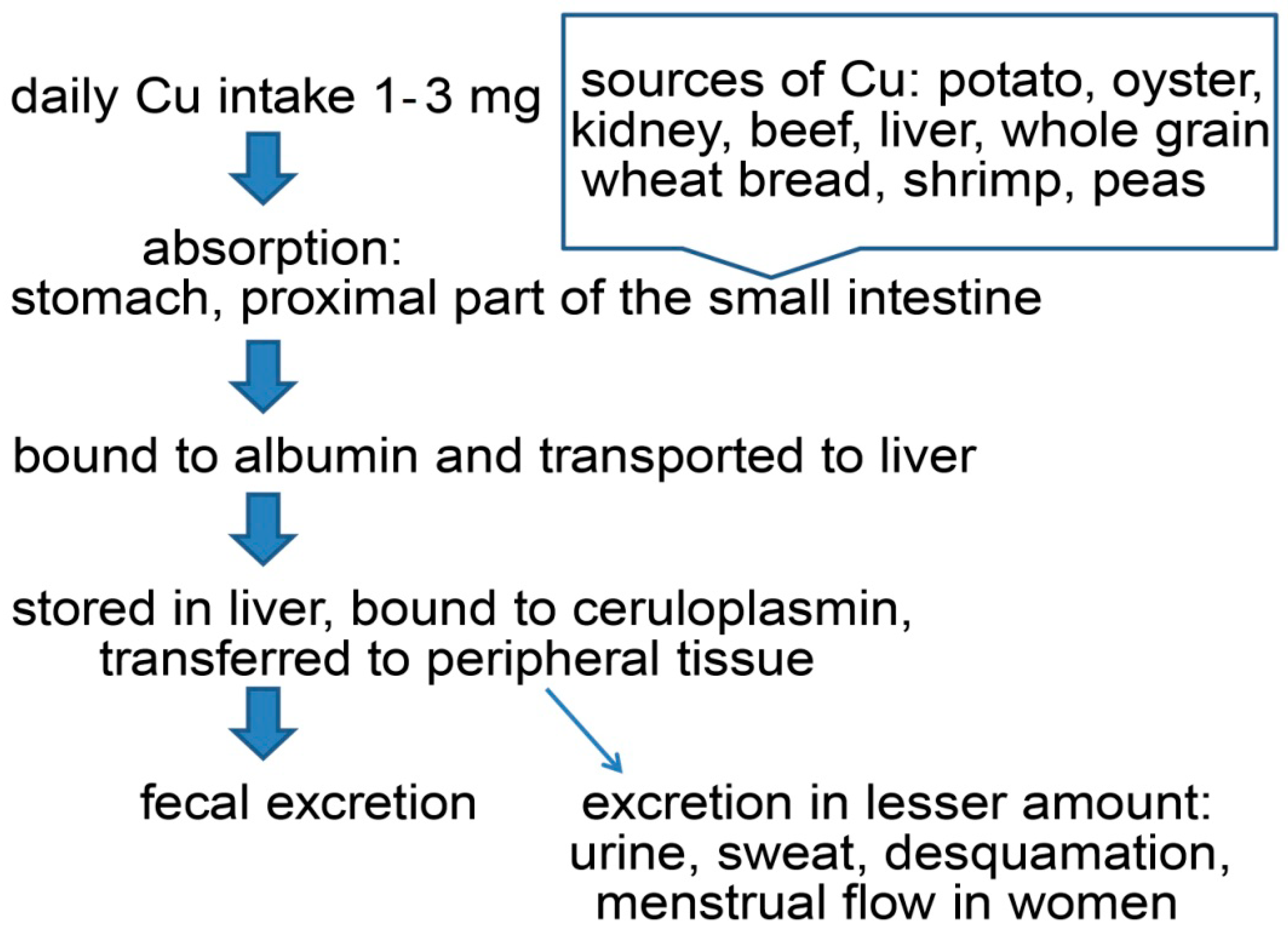 Molecules 28 05133 g001