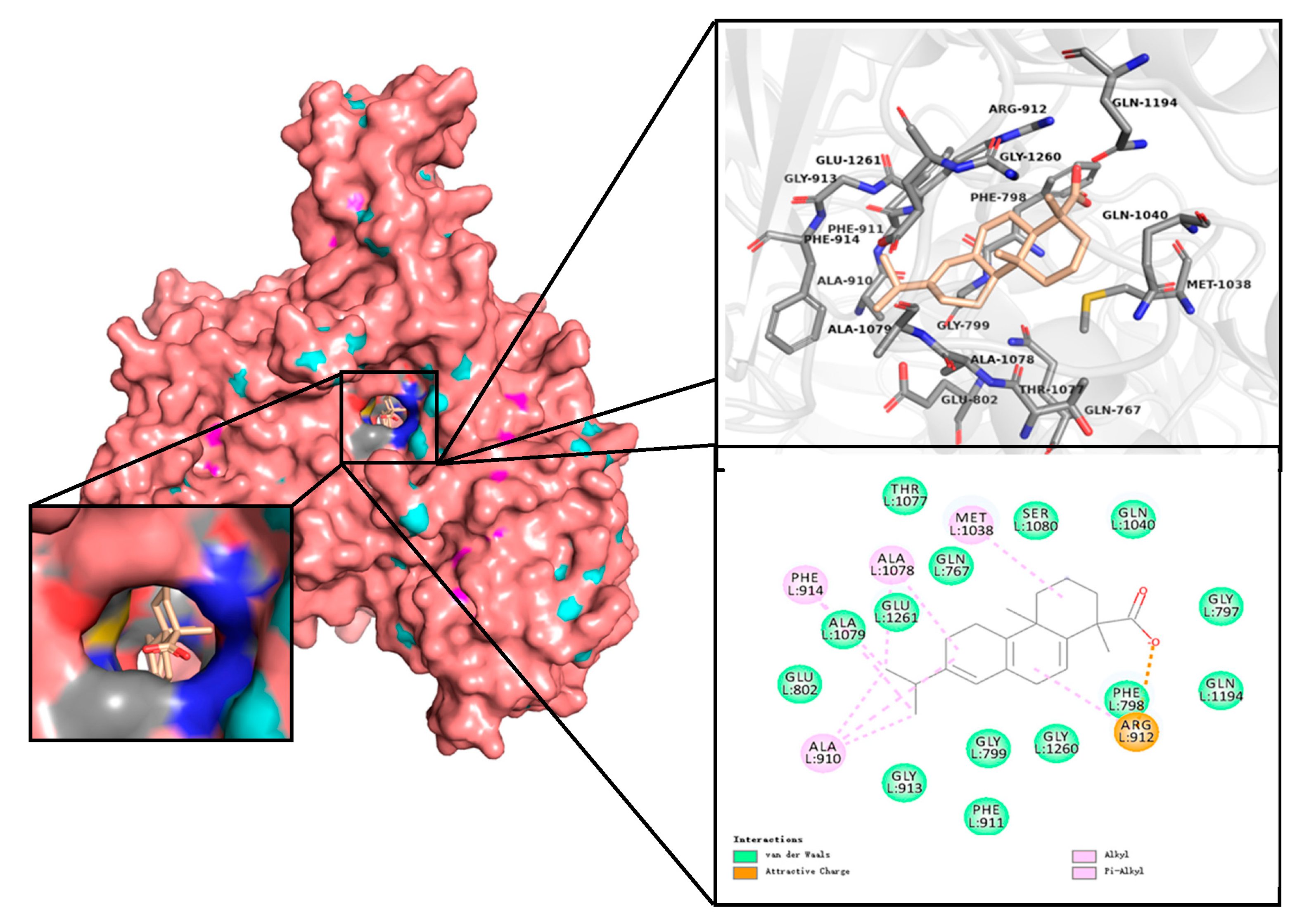 Molecules 28 05141 g003