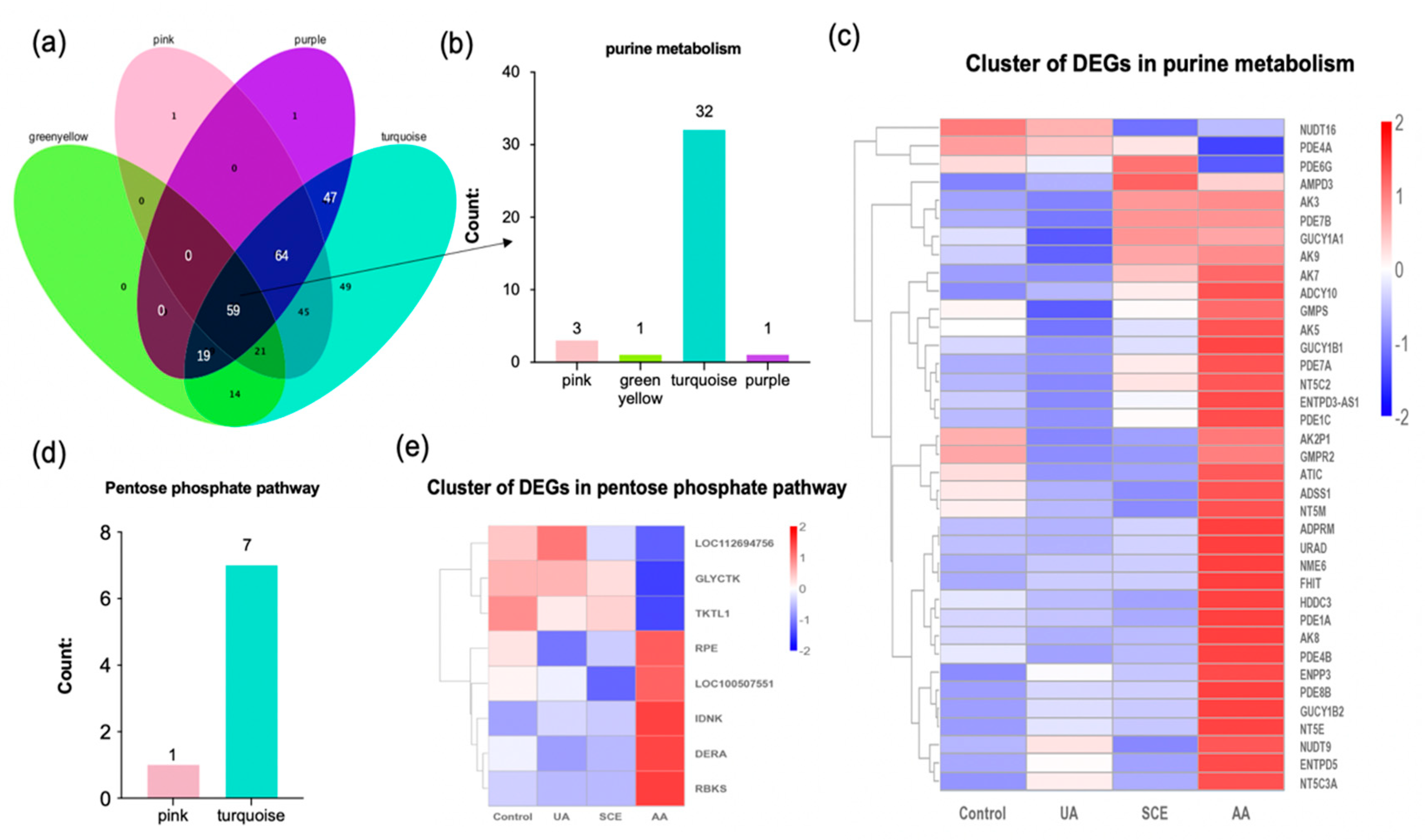 Molecules 28 05141 g006