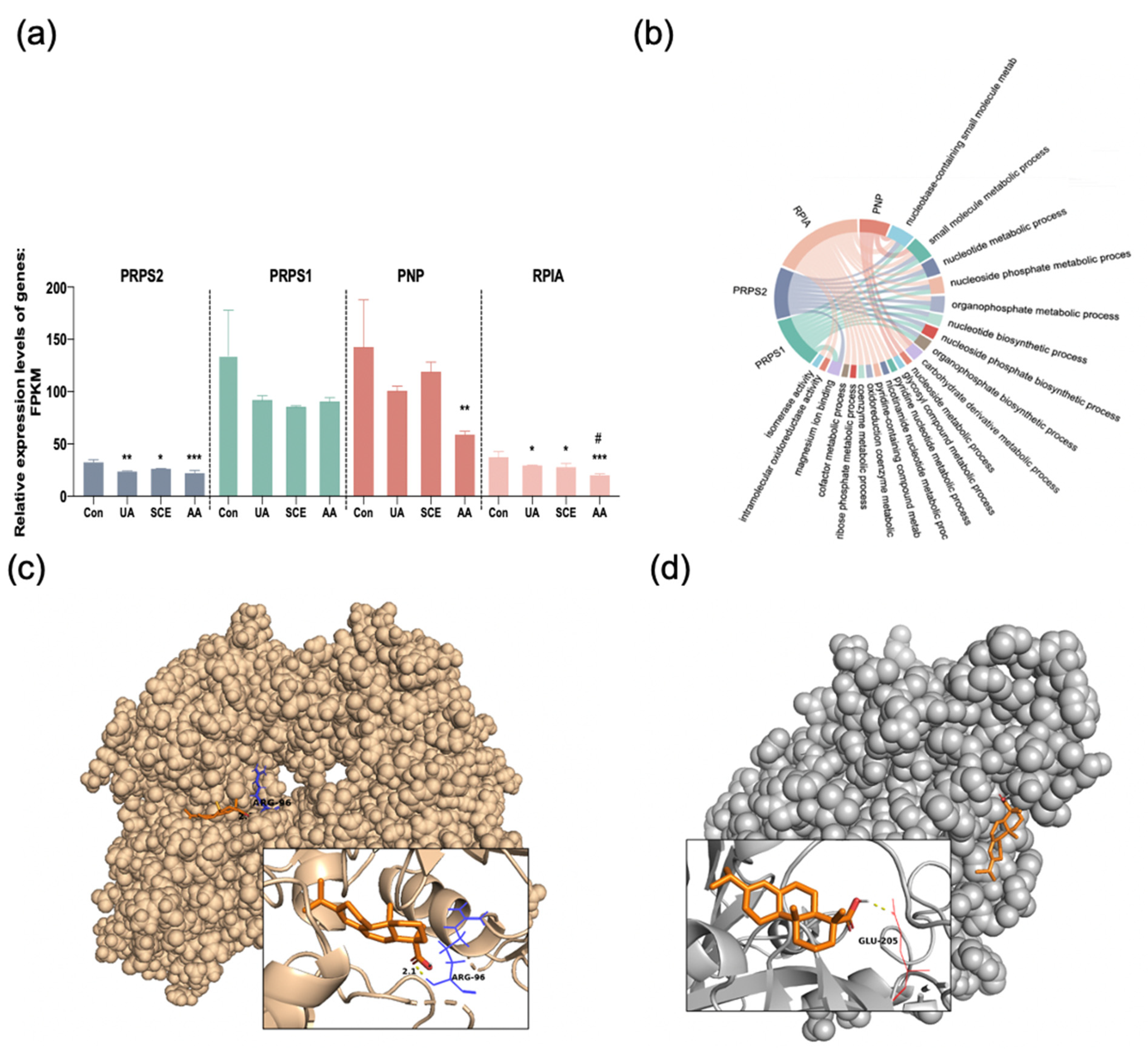 Molecules 28 05141 g008