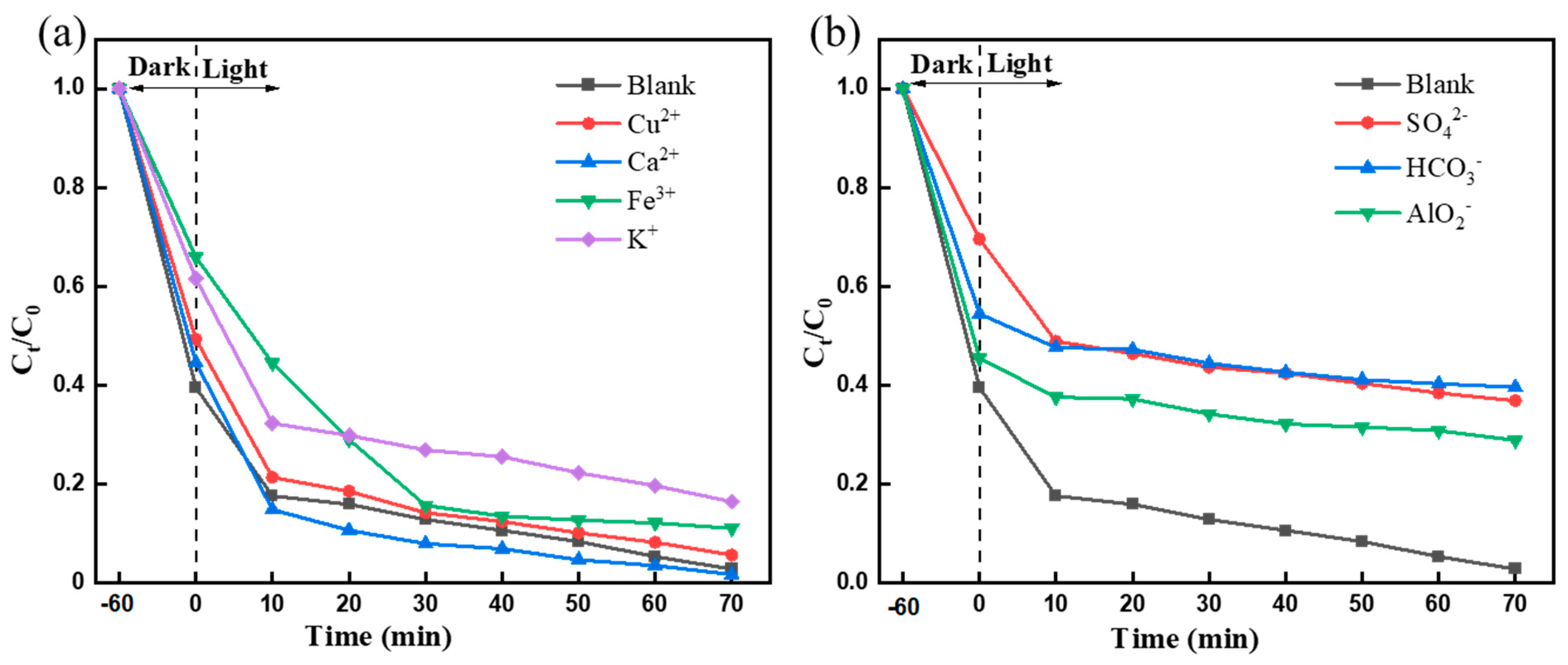 Molecules 28 05170 g008