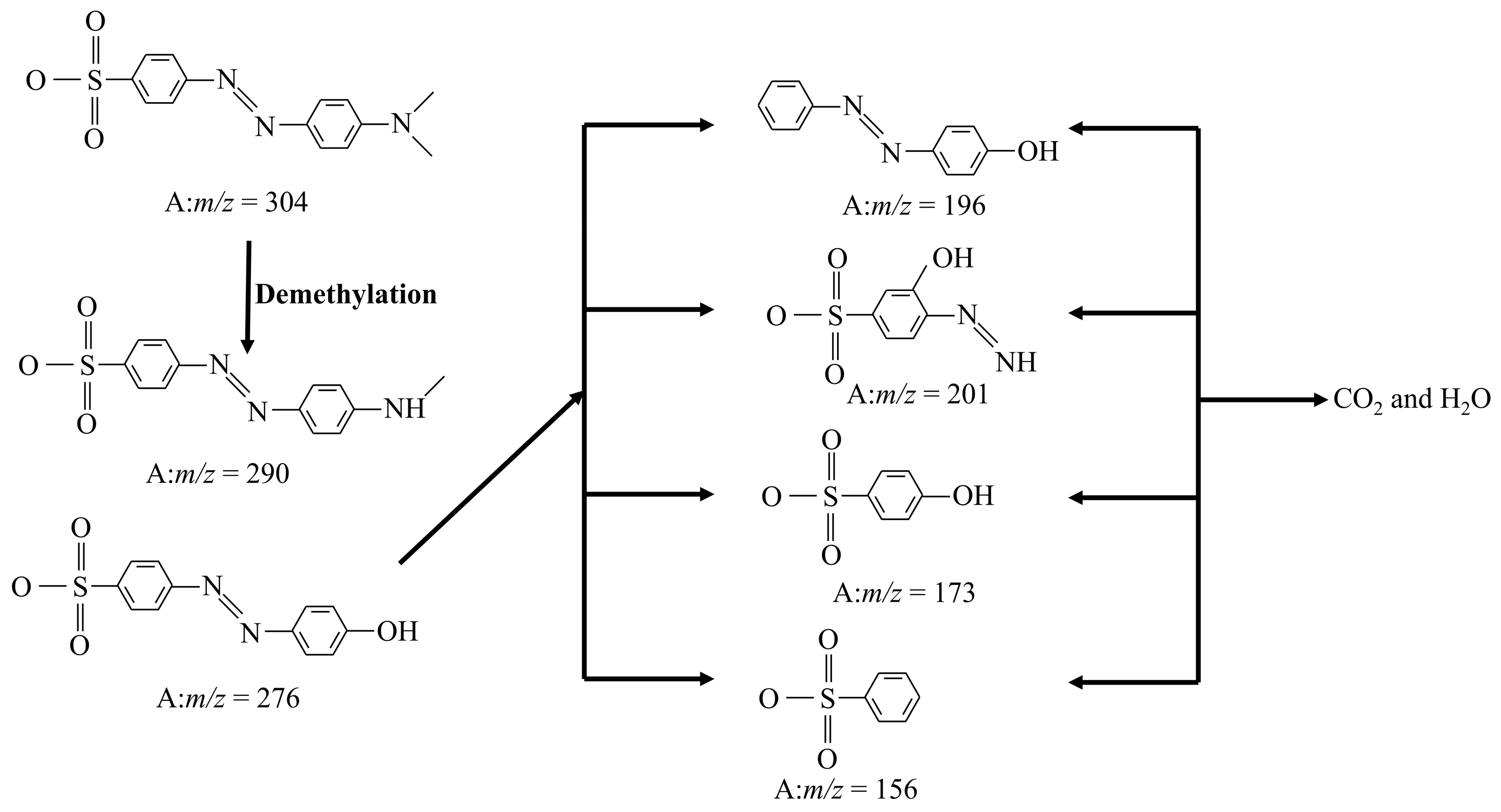 Molecules 28 05170 g013
