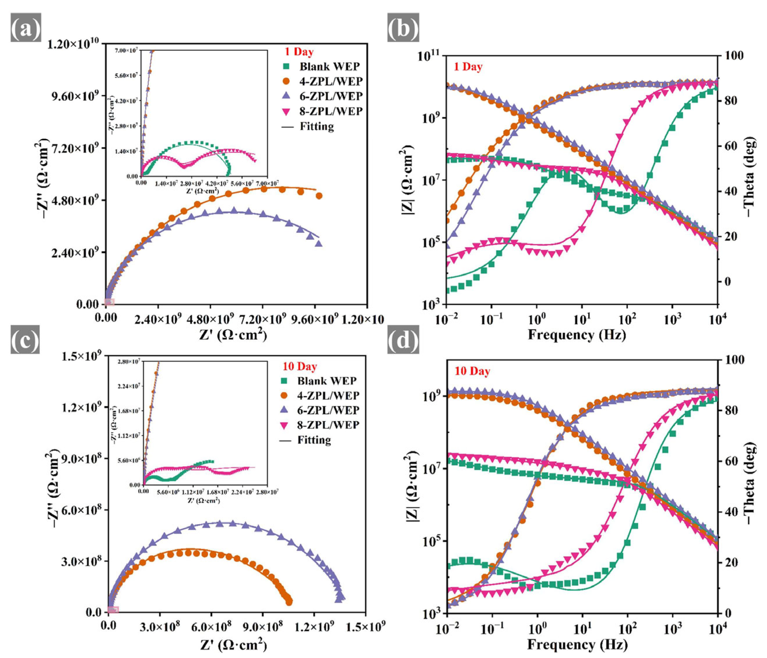 Molecules 28 05199 g005 Molecules 28 05199 g005