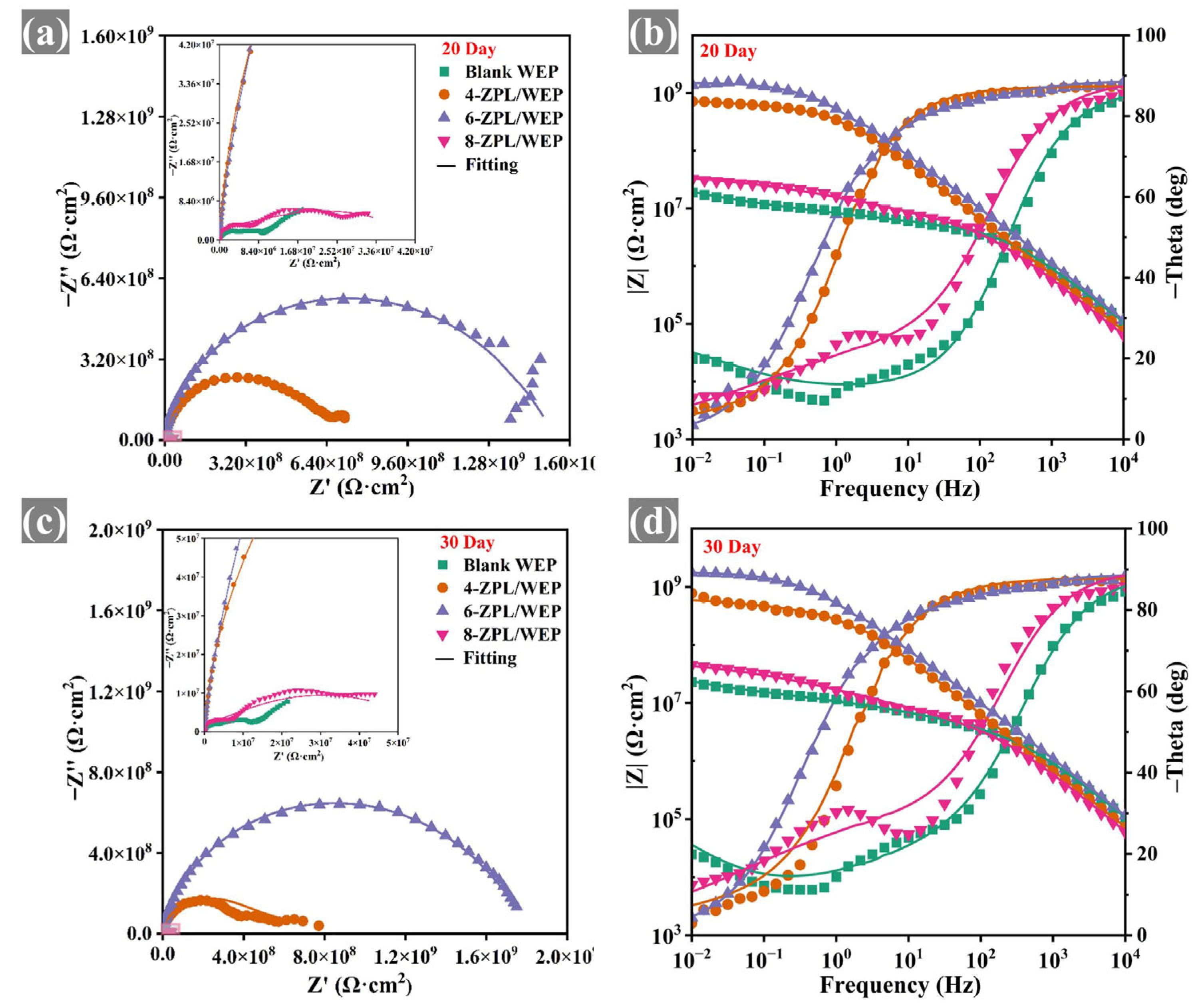 Molecules 28 05199 g006 Molecules 28 05199 g006