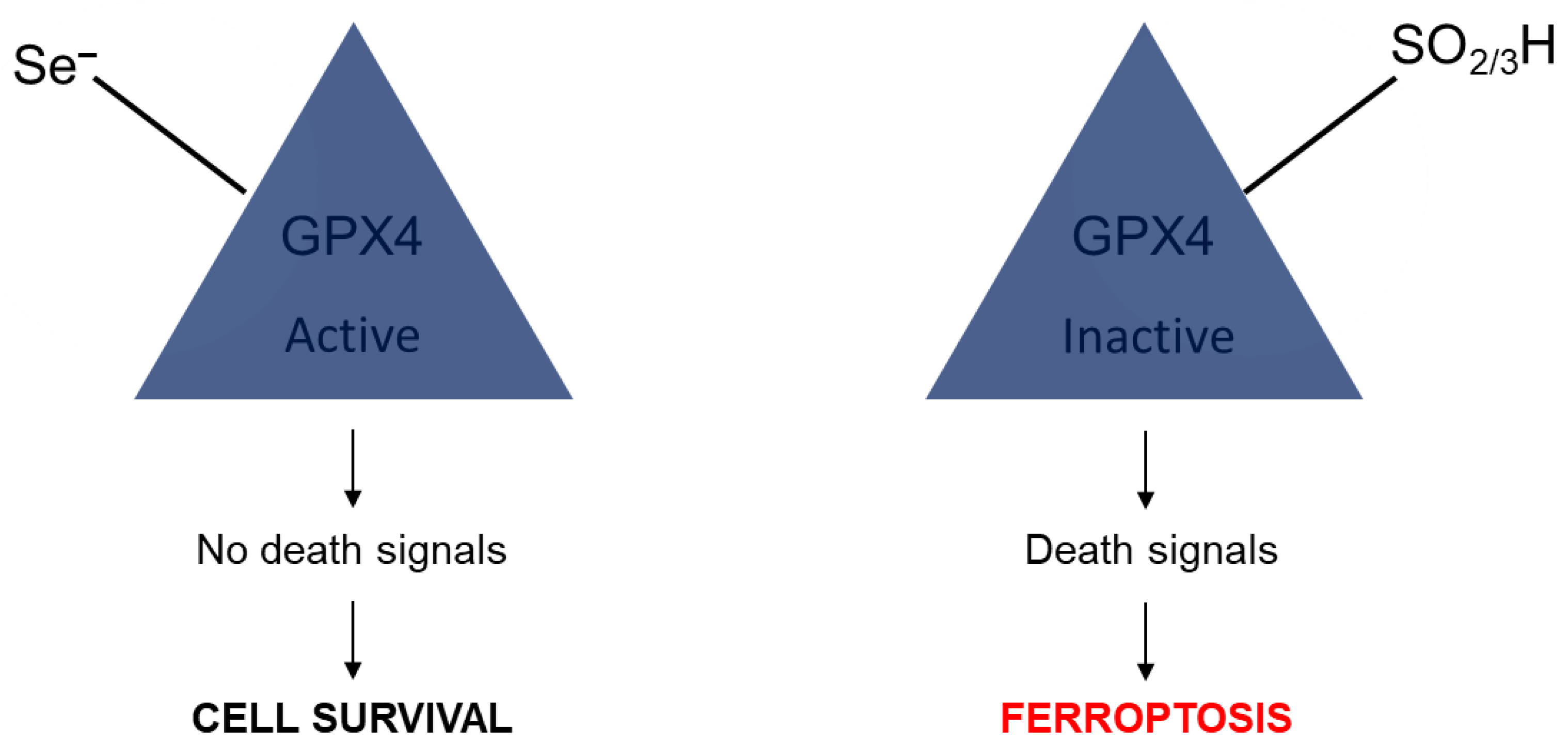 Molecules 28 05234 g007