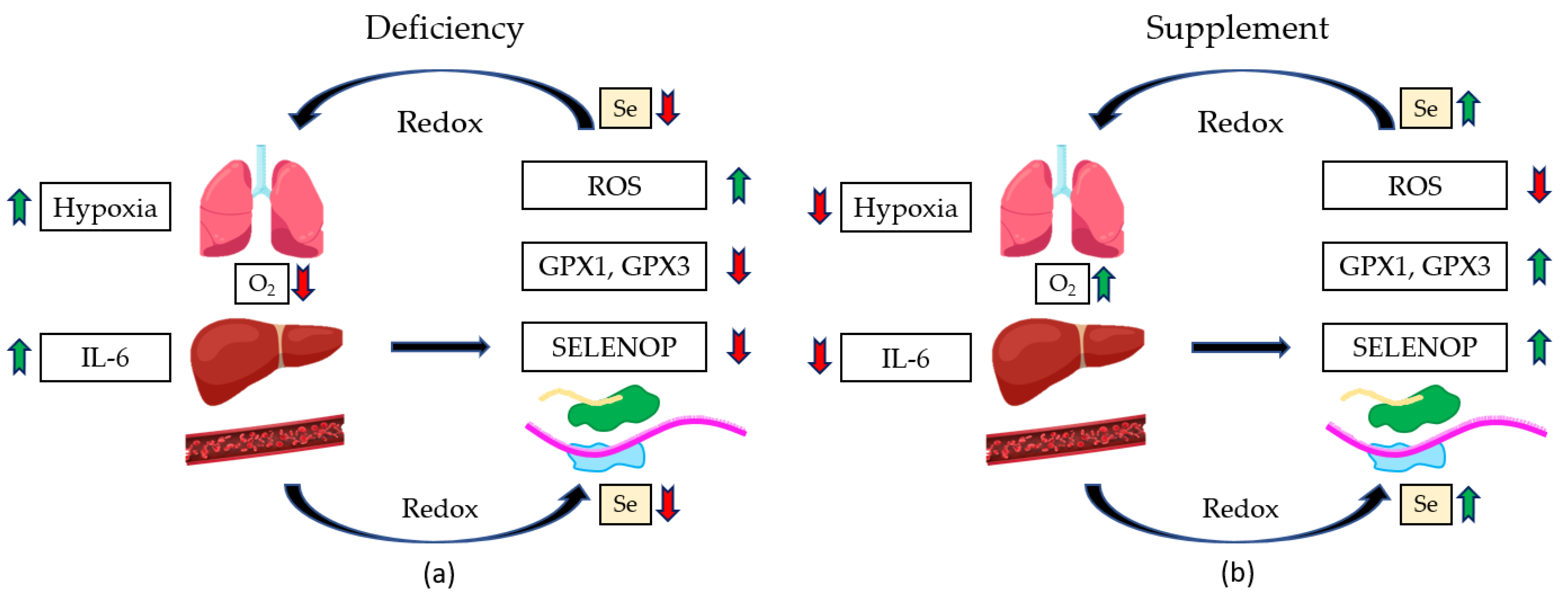 Molecules 28 05234 g008