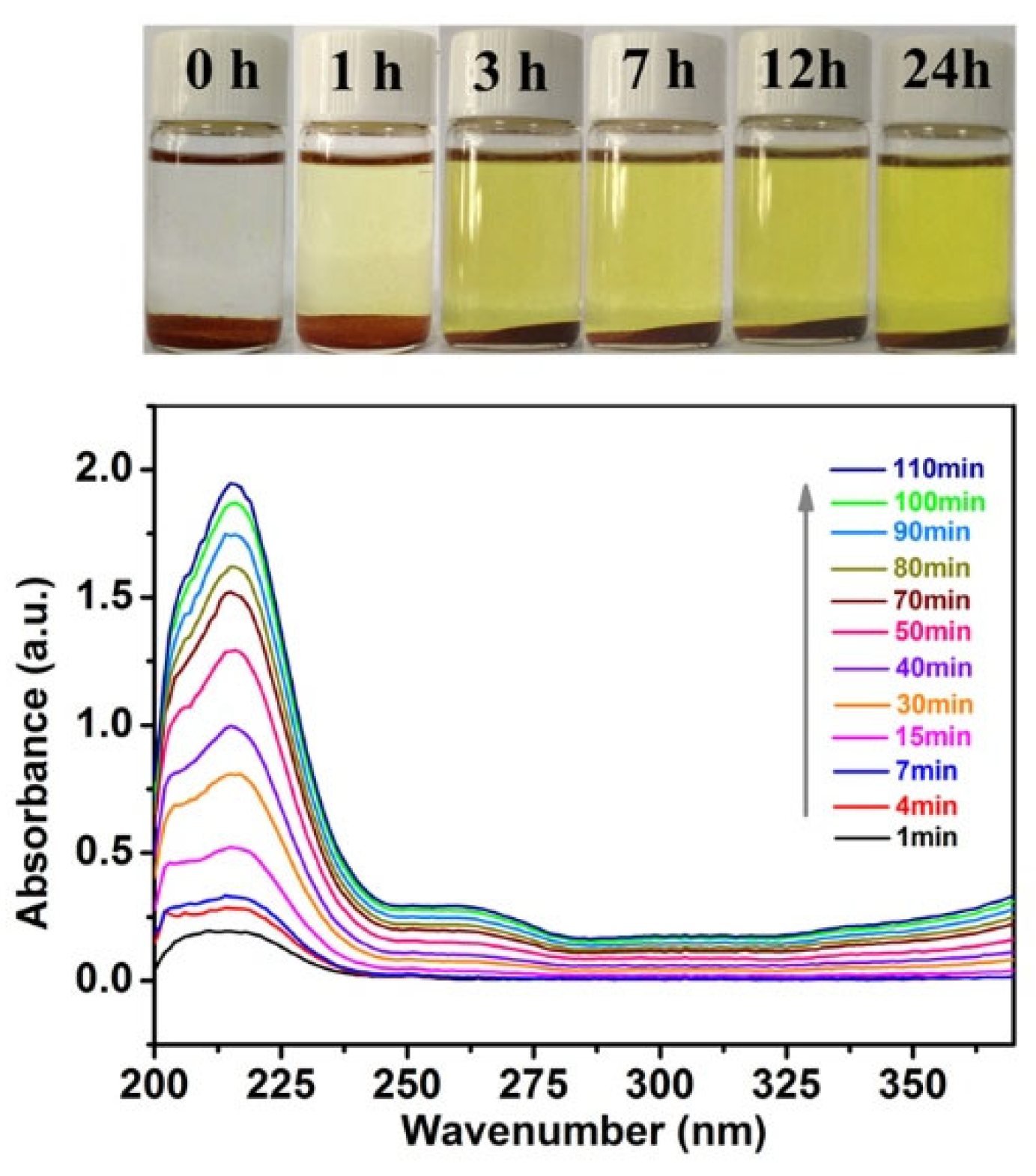 Molecules 28 05237 g005 Molecules 28 05237 g005