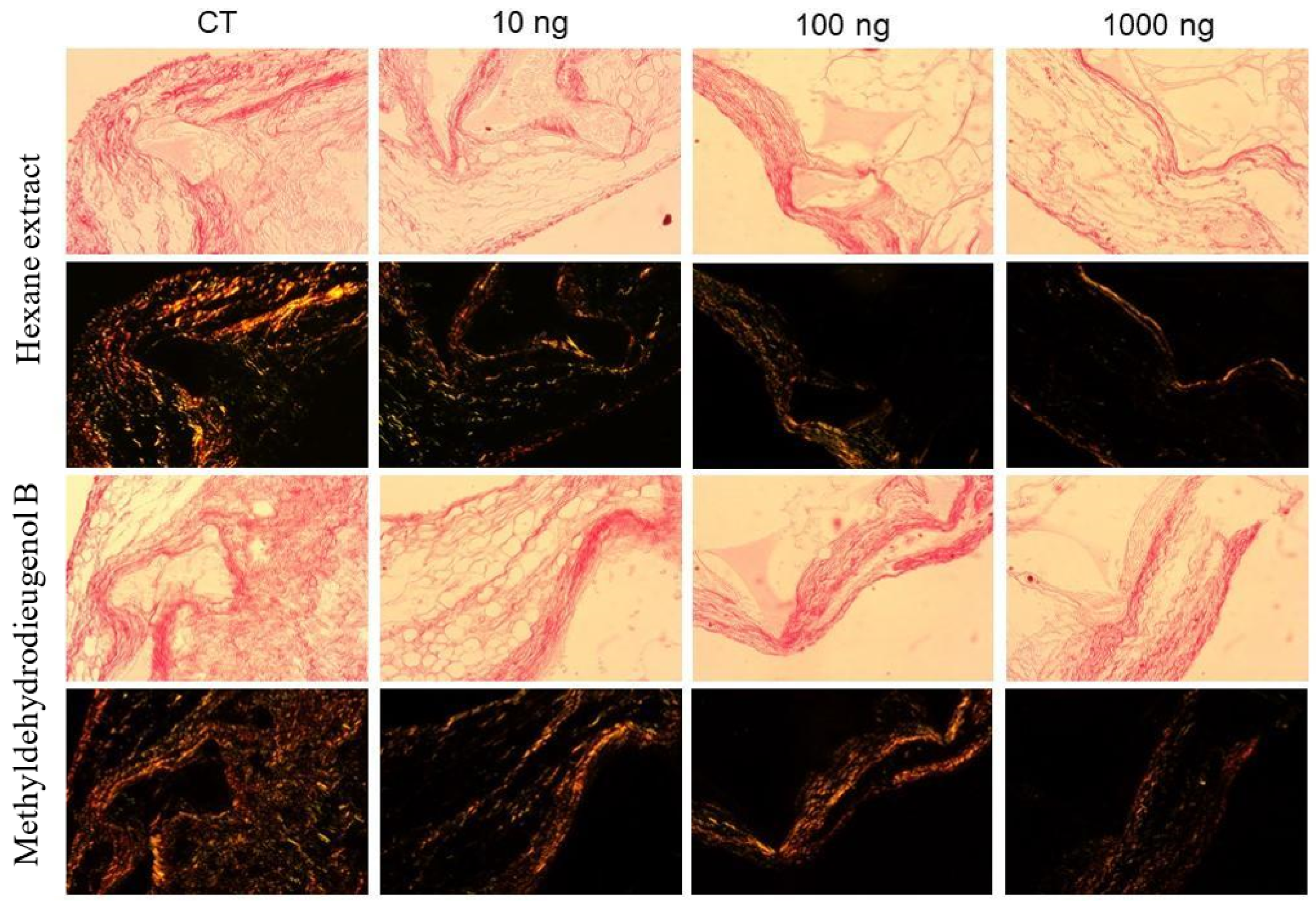 Molecules 28 05247 g007 Molecules 28 05247 g007