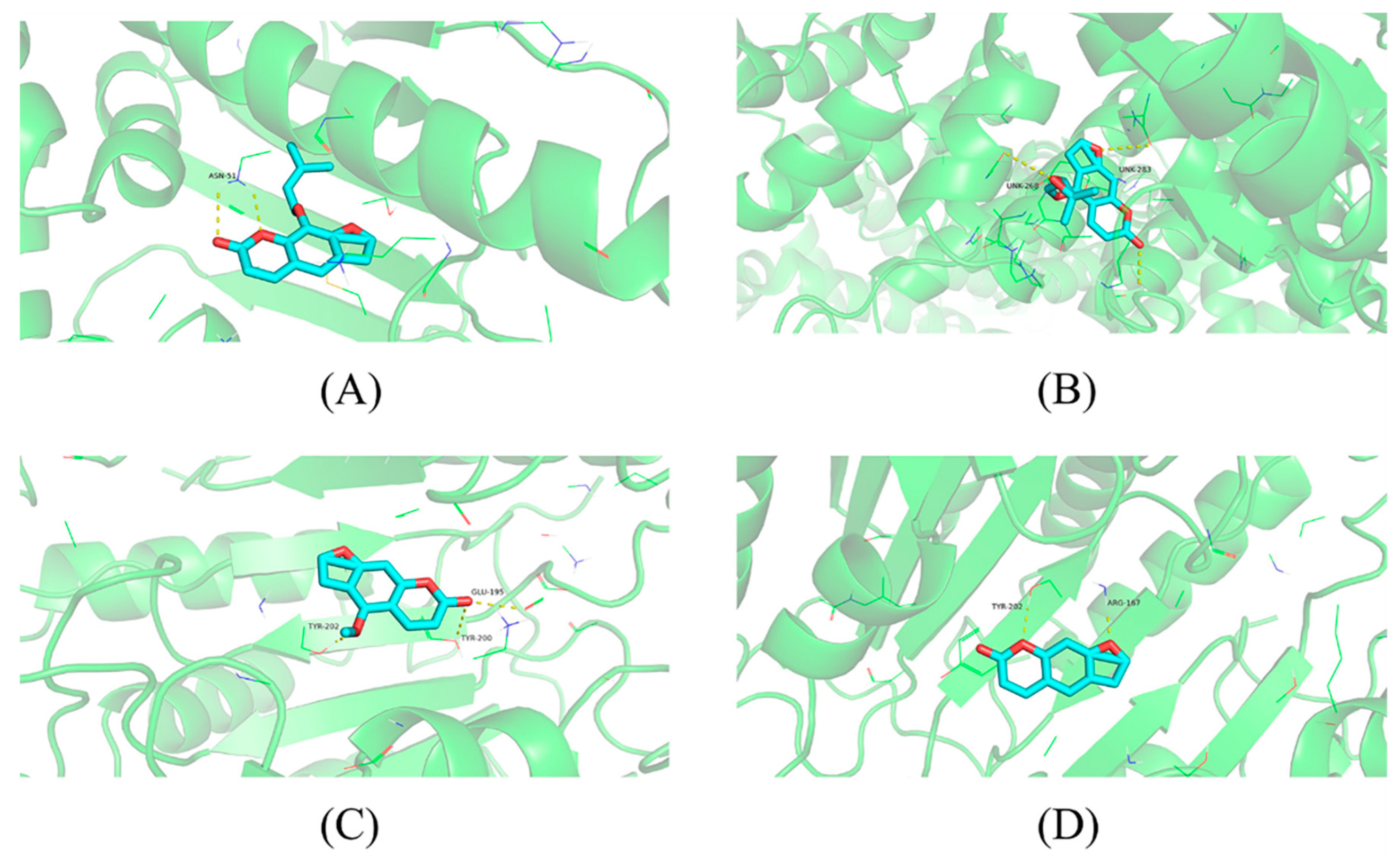 Molecules 28 05248 g012 Molecules 28 05248 g012